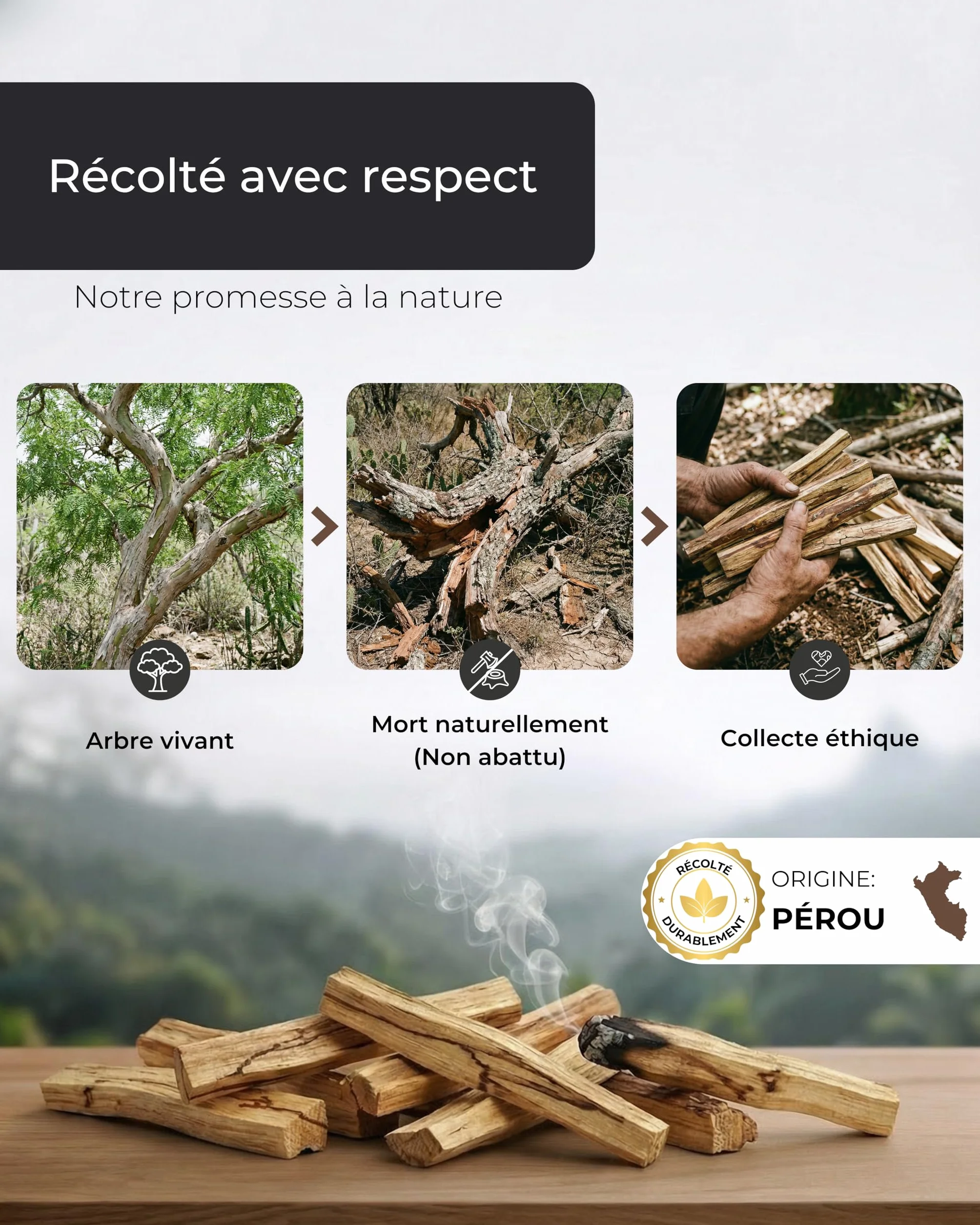 Incensera Bois de Palo Santo 8 Bâtons d'Encens Naturel 10 cm Purification Maison Méditation Aromathérapie