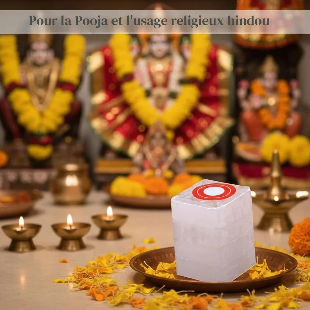 Camphre naturel blocs et cubes 300g pour Pooja Santeria religieux indiens