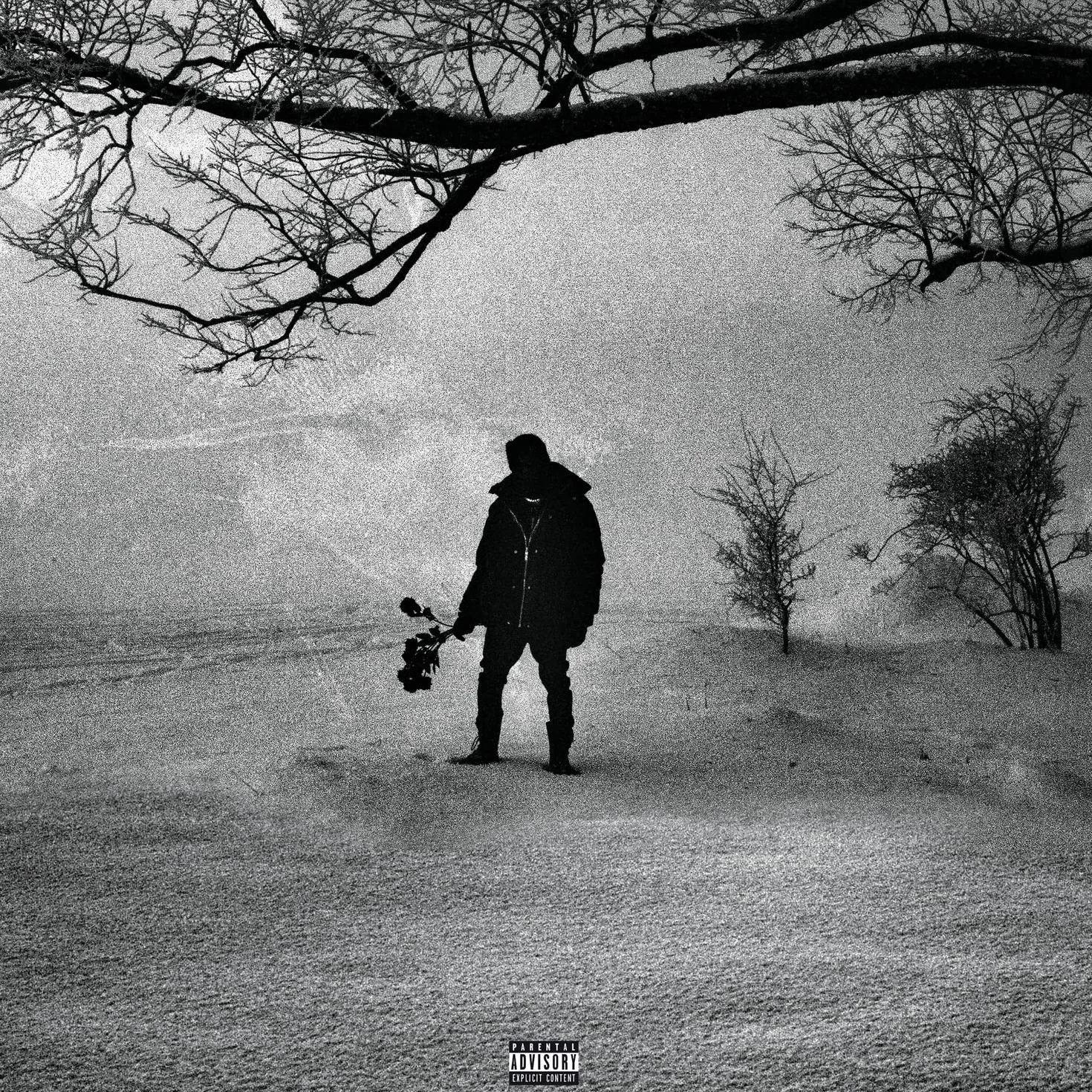 Sony Music Entertainment France M.A.N Black Roses & Lost Feelings