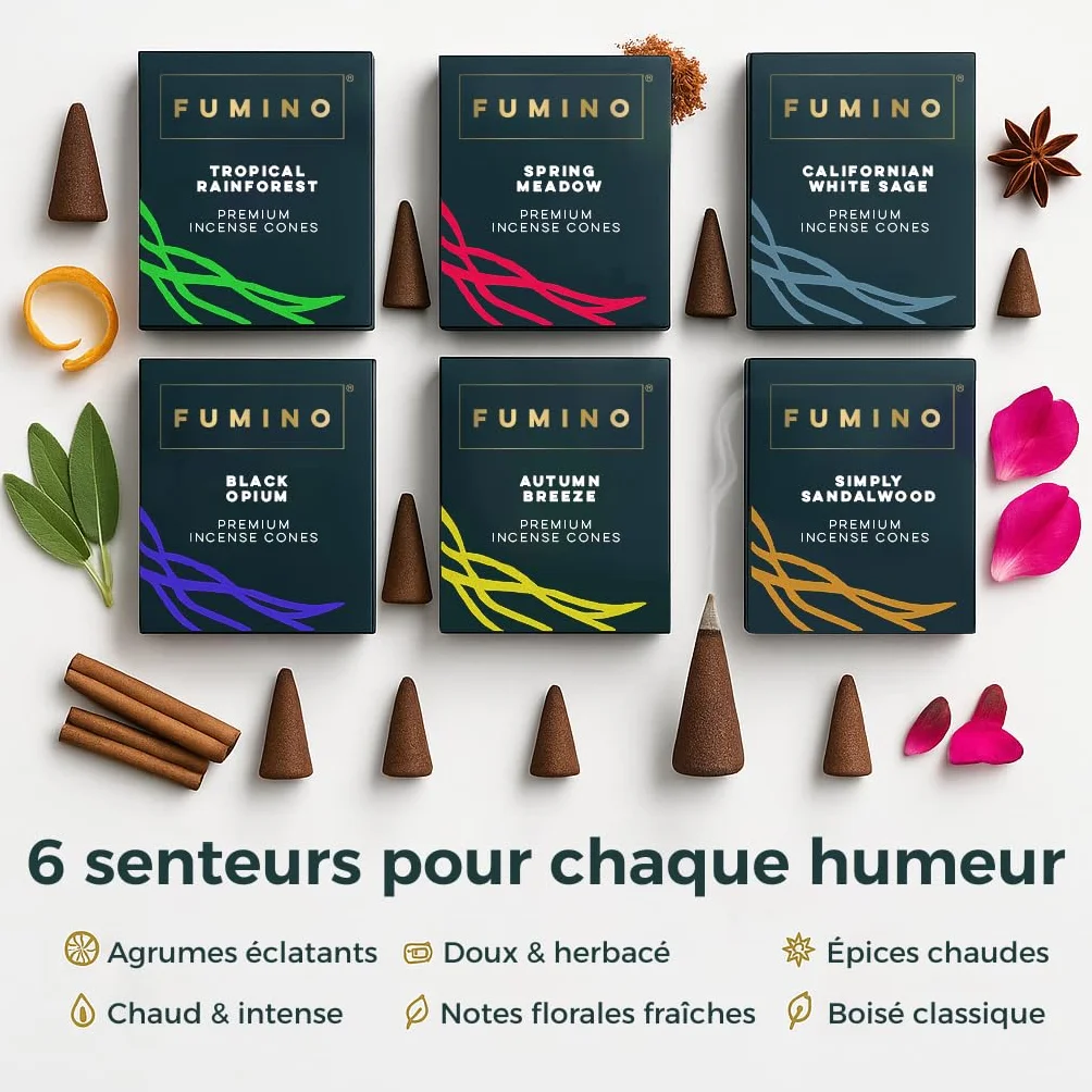 Fumino Encens Cone Naturels Faits Maison Lot 6 boîtes 90 cônes Masala Agarbatti Joss