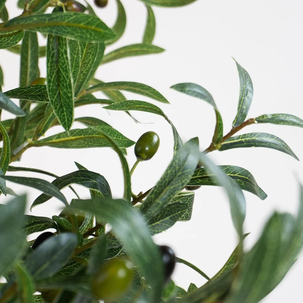Blaine Olivier Sauvage 180cm Grande Plante Artificielle Décorative pour Intérieur Extérieur