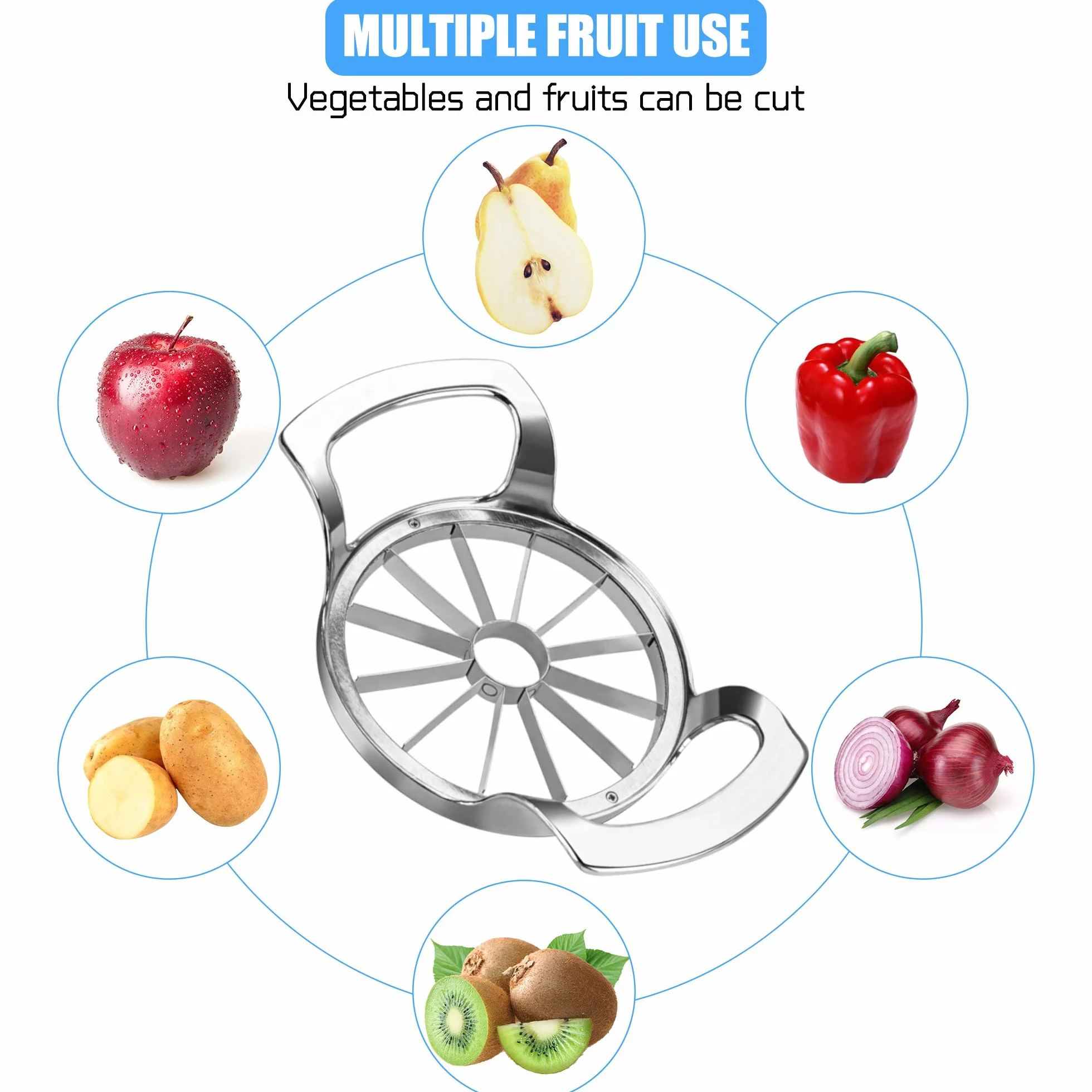 Coupe Pomme 12 Lames, Coupe-Fruits 10 cm Acier Inoxydable pour Pommes et Poires