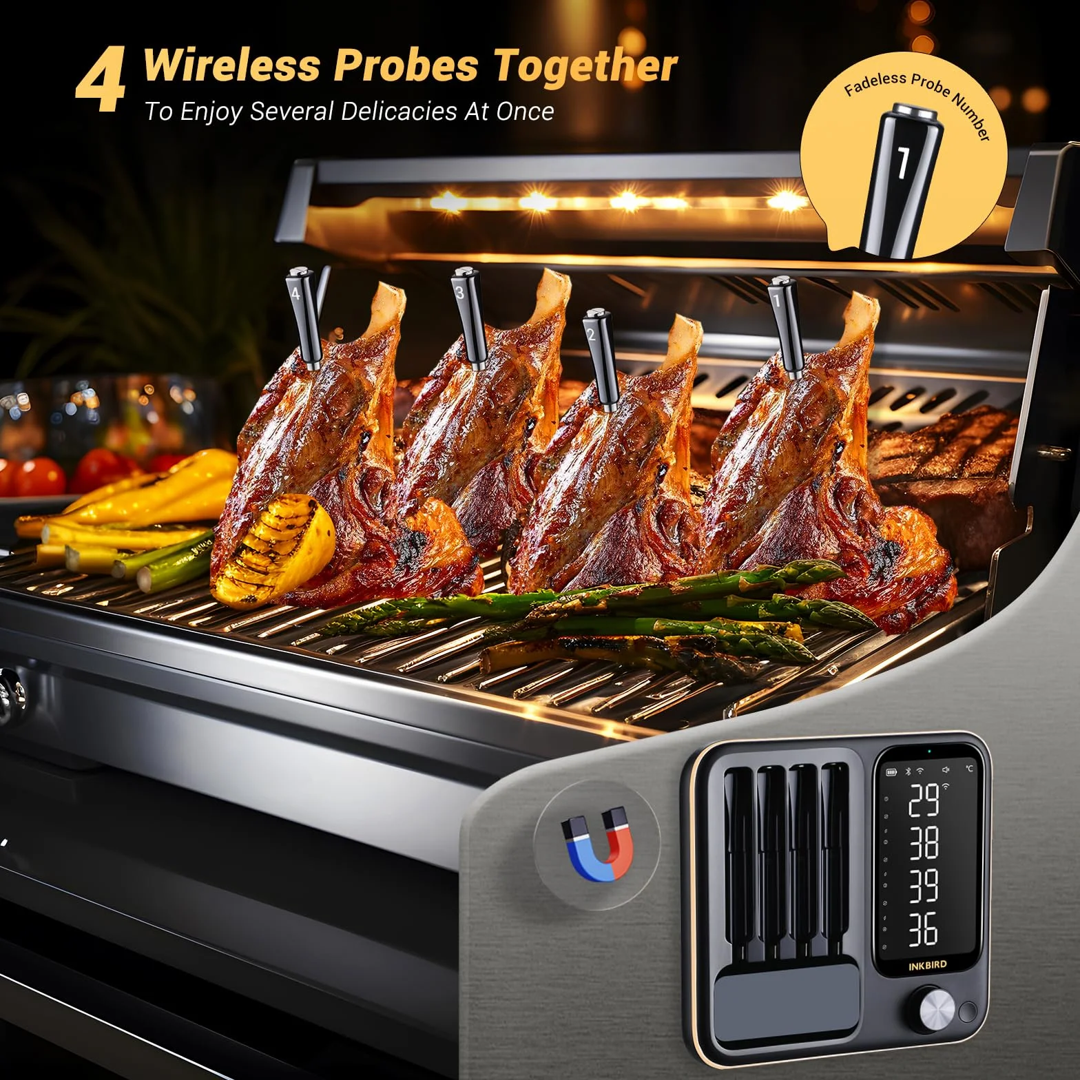 Inkbird INT-14-BW Thermomètre Cuisine Barbecue Wi-Fi 2,4 GHz Bluetooth 5.4