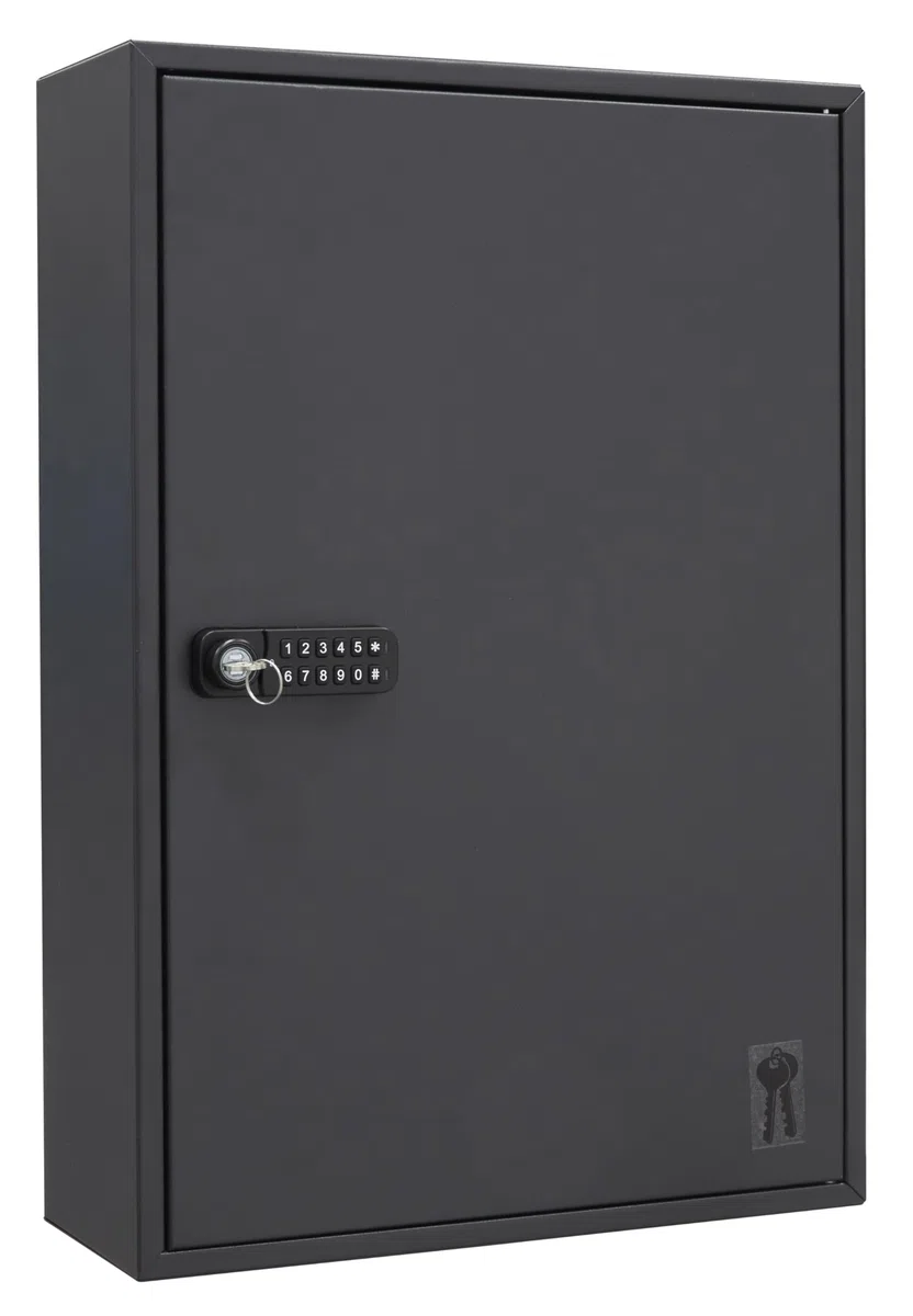 ARREGUI PL200EN Armoire à clés 200 Crochets réglable | Boite à cléf Murale Verrouillage electronique IP65 à Code programmage | Placard Murale pour Rangement de 200 clefs | 55 x 38 x 14 cm | Noir