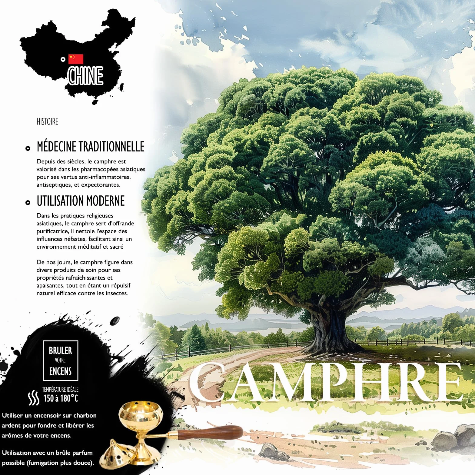 Encens Camphre résine 100% Naturel en Grain 50gr pour Fumigation Protection des lieux