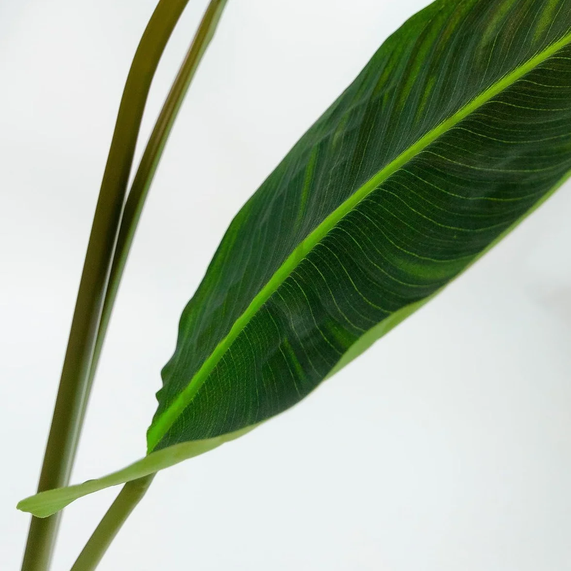 BLAINE Strelitzia 160cm Grande Plante Artificielle Réaliste pour Intérieur Extérieur