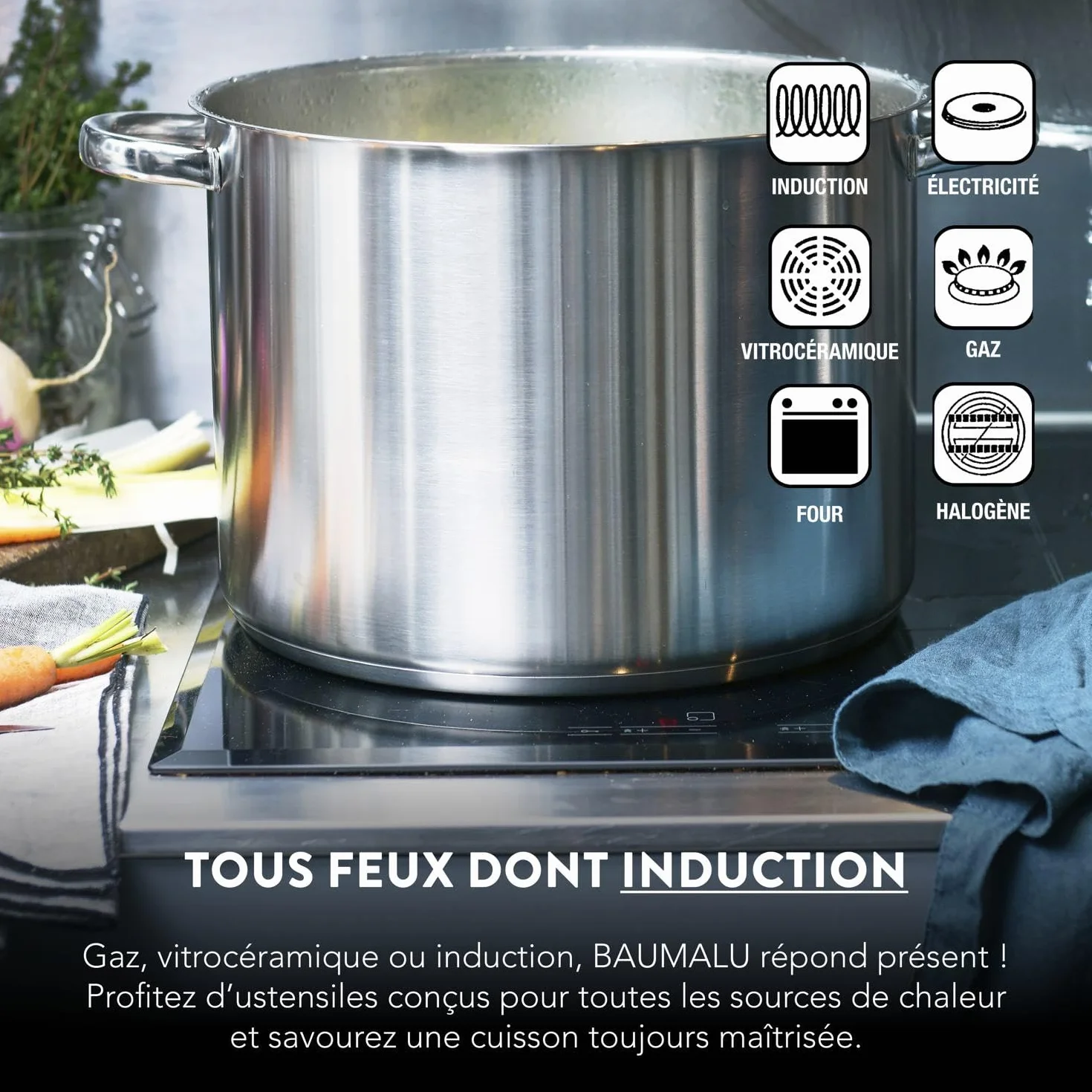 BAUMALU Combiné Traiteur Couscoussier Acier Inox Ø24cm 9L Triple Fond Diffuseur Induction