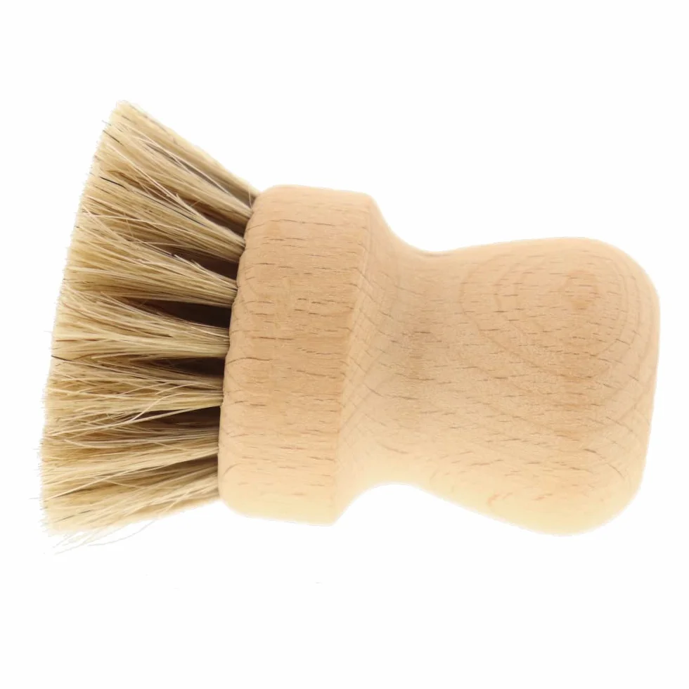 HOFMEISTER lot de 2 brosses à champignons en crin de cheval et bois de hêtre