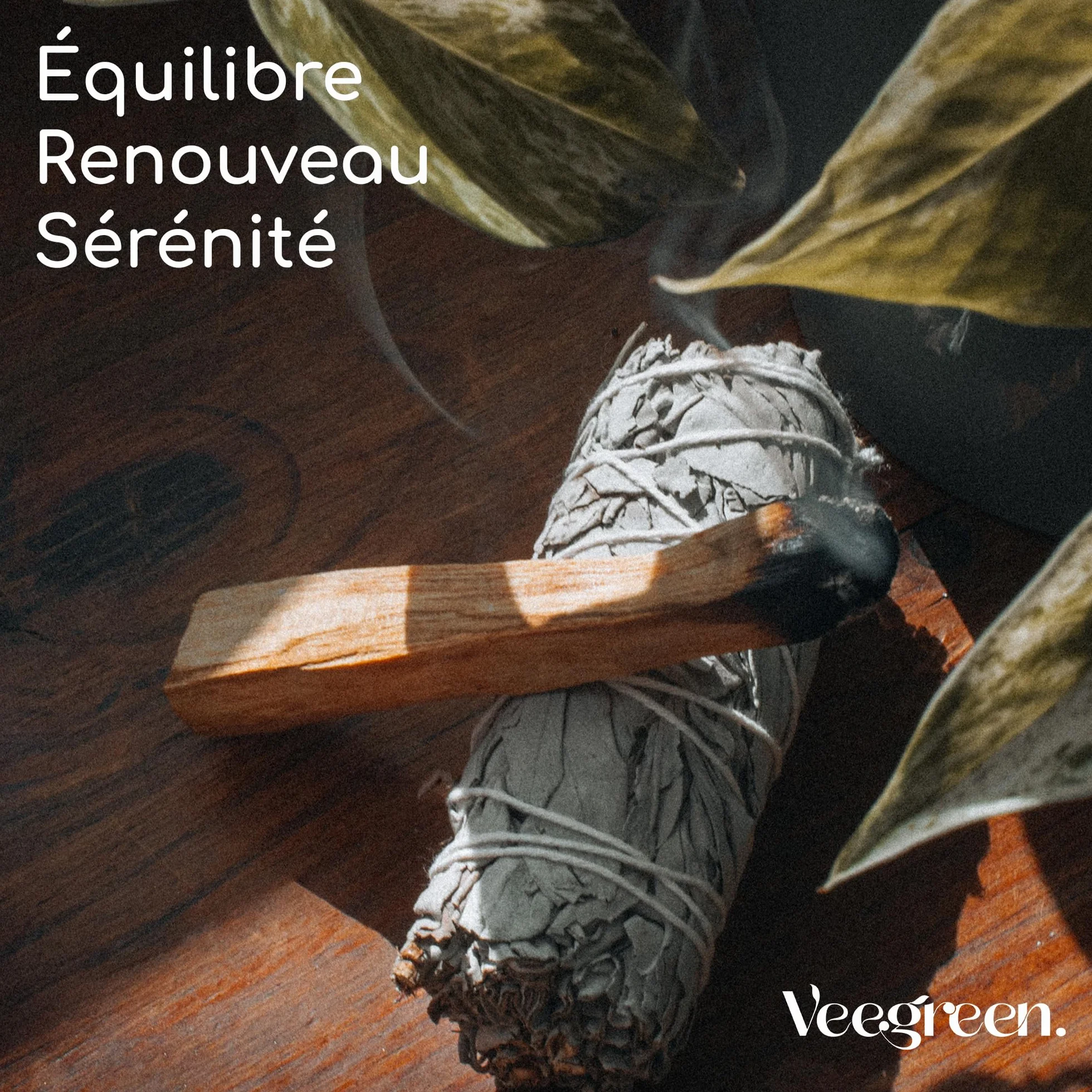 Coffret Sauge Blanche Purification Palo Santo Stick Encens Naturel Méditation Bougie Rituels 1 Sauge Blanche 1 Palo Santo