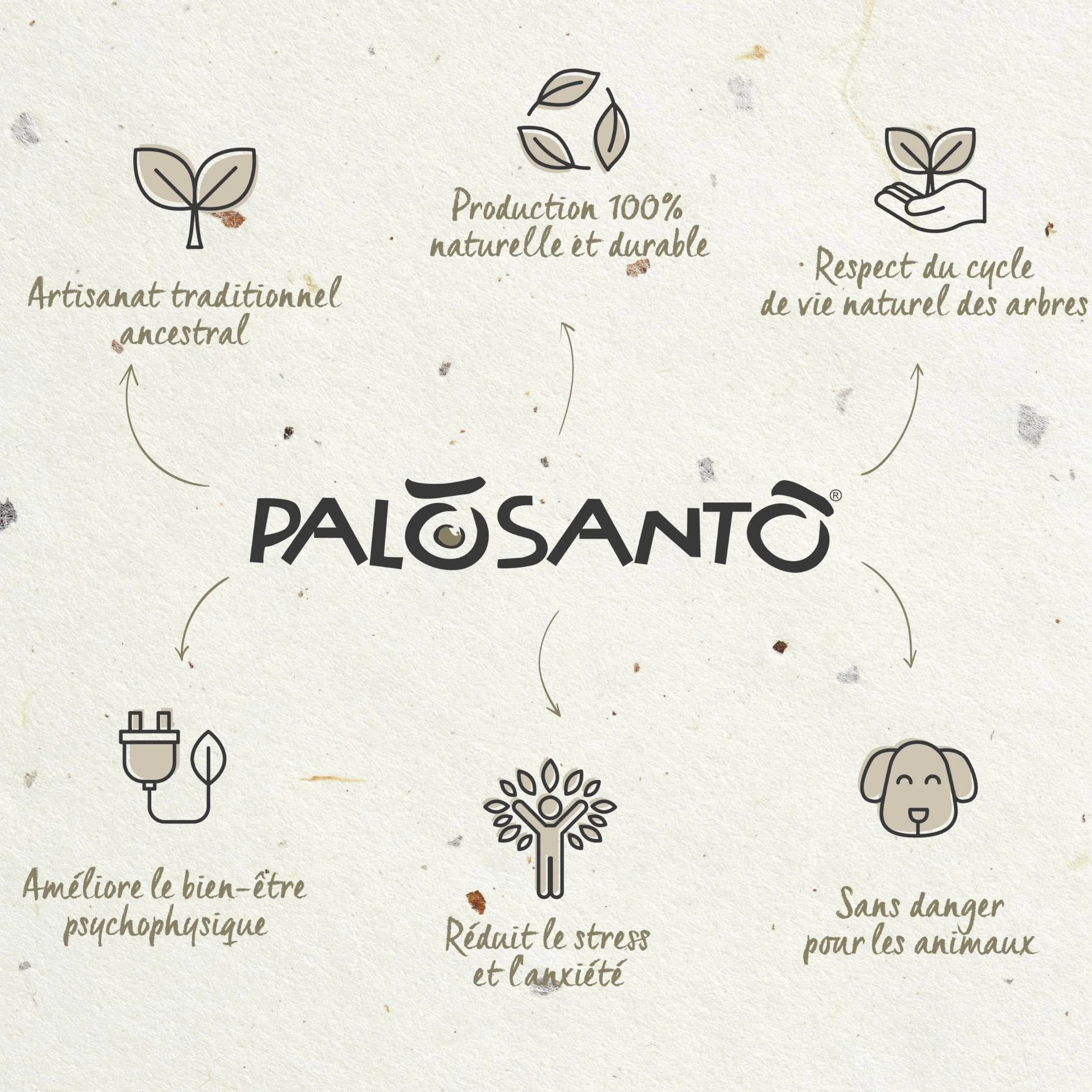 Bursera Graveolens Palo Santo Batons Ayabaca 8 Sztuk Encens Naturel Purification Maison Qualité Supérieure