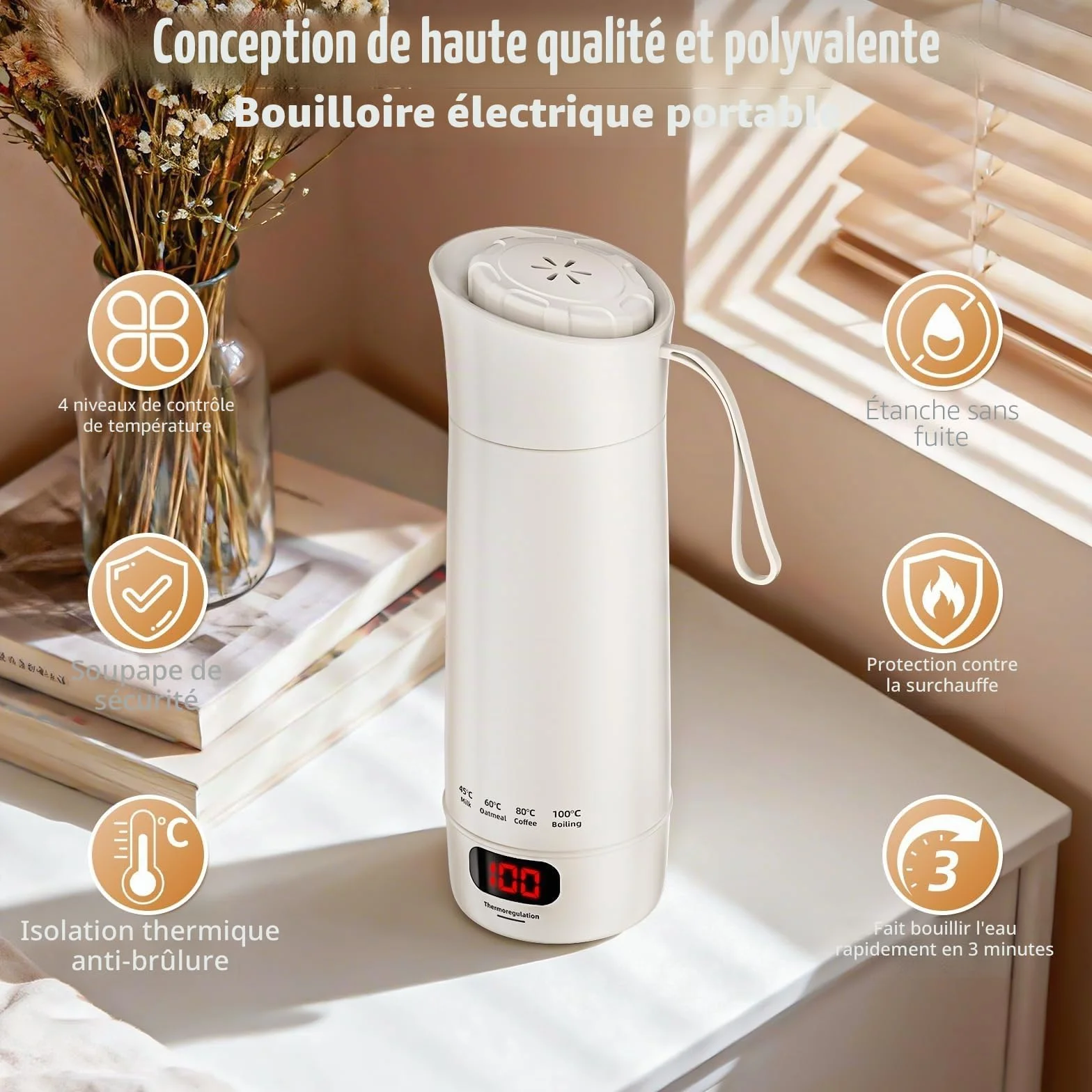 Mini Bouilloire Électrique Portable 400 ML 3 en 1 avec 4 Niveaux de Température, Doublure Acier Inoxydable 304