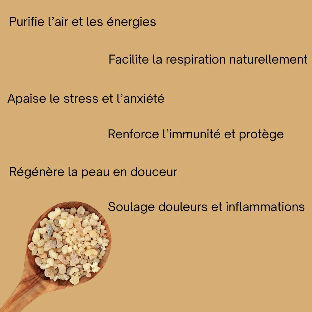 Resine d'Oliban Louban Anti-âge Naturel Purification d'intérieur