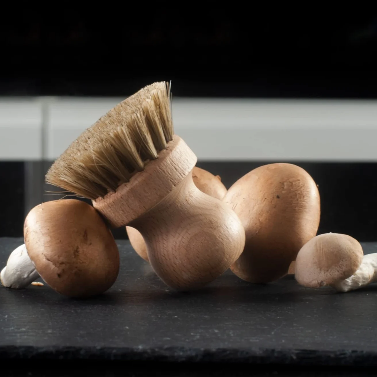 HOFMEISTER lot de 2 brosses à champignons en crin de cheval et bois de hêtre