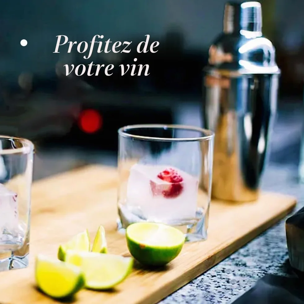 Shaker à cocktail 750 ml acier inoxydable avec passoire intégrée