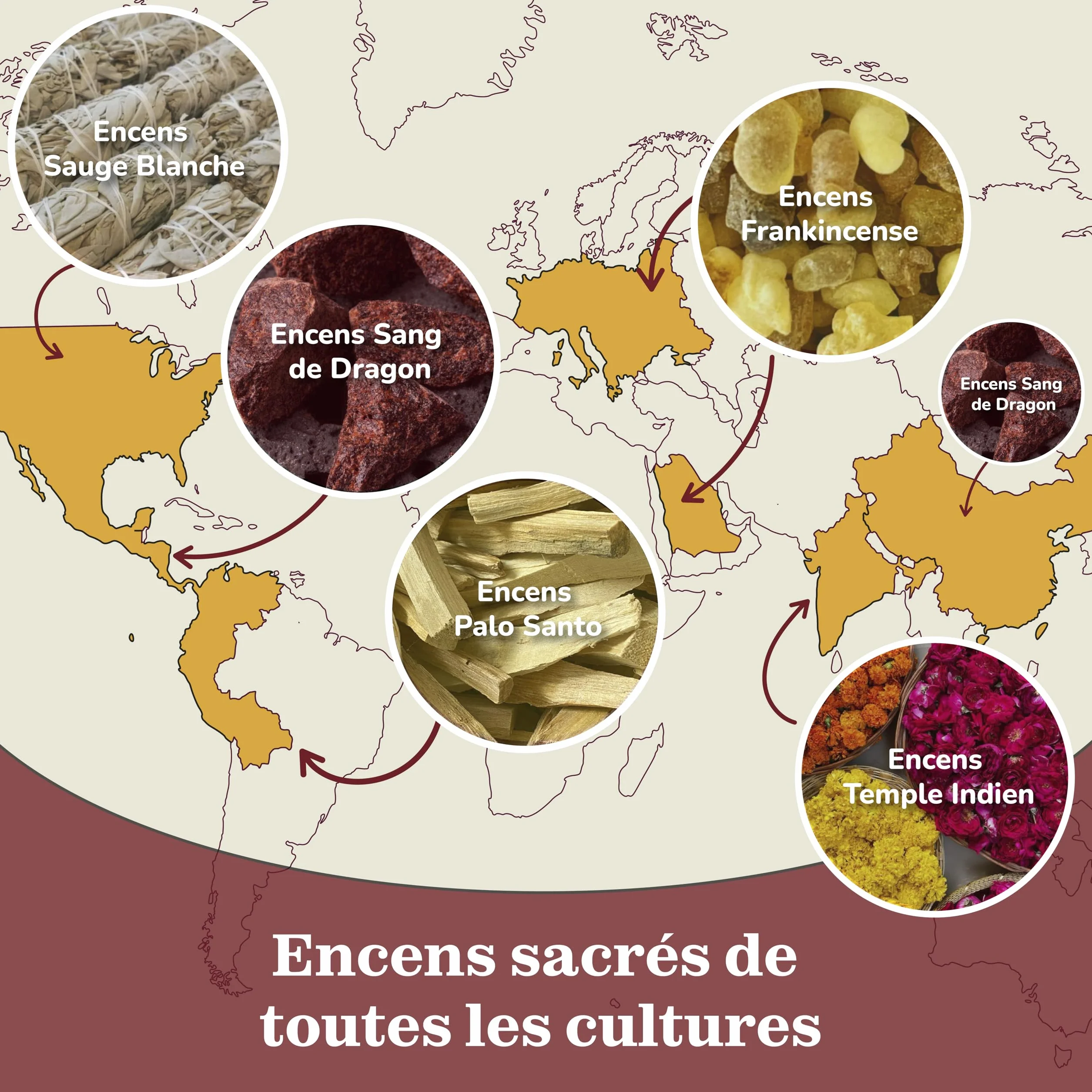 Baton Encens Naturel Pack Variété 90g sans Charbon Fabriqué à partir de Fleurs Recyclées Frankinscène Myrrhe Sauge Blanche Palo Santo Sang de Dragon