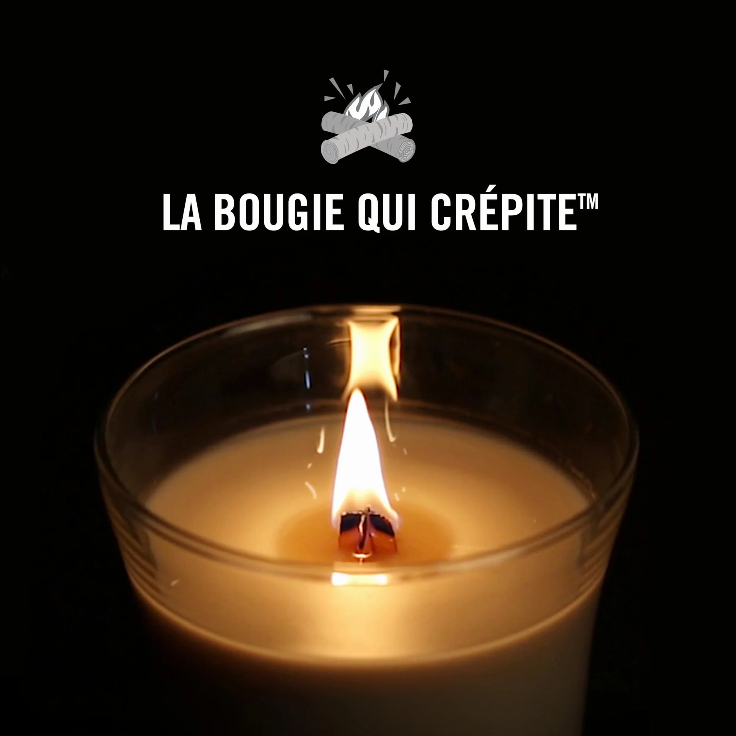 WoodWick bougie parfumée moyenne mèche bois crépitante Thé blanc jasmin 20h combustion