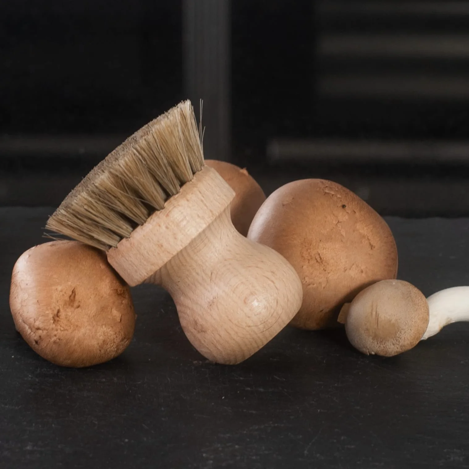 HOFMEISTER lot de 2 brosses à champignons en crin de cheval et bois de hêtre