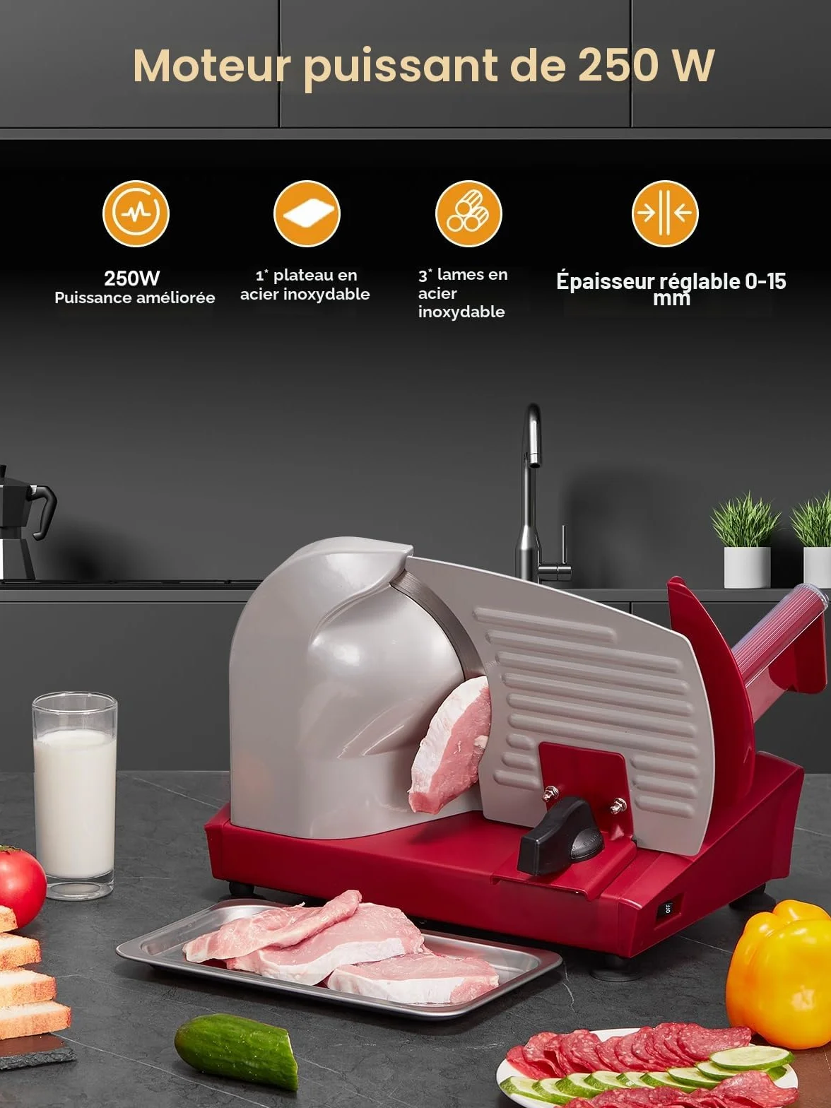 Trancheuse Électrique 250W Acier Inoxydable 19cm Lames Amovibles Épaisseur Réglable 0-15mm