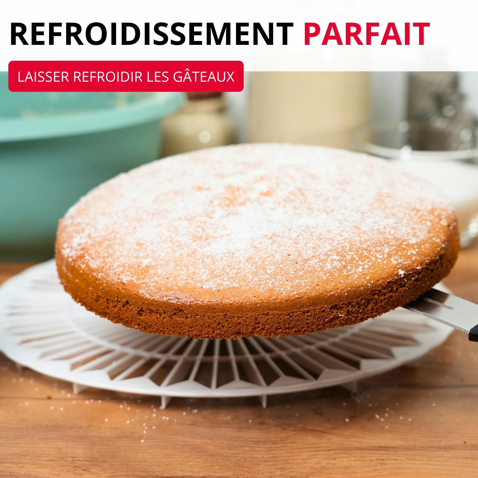 Westmark Refroidisseur et Diviseur à Gâteau 32 cm Plastique Blanc