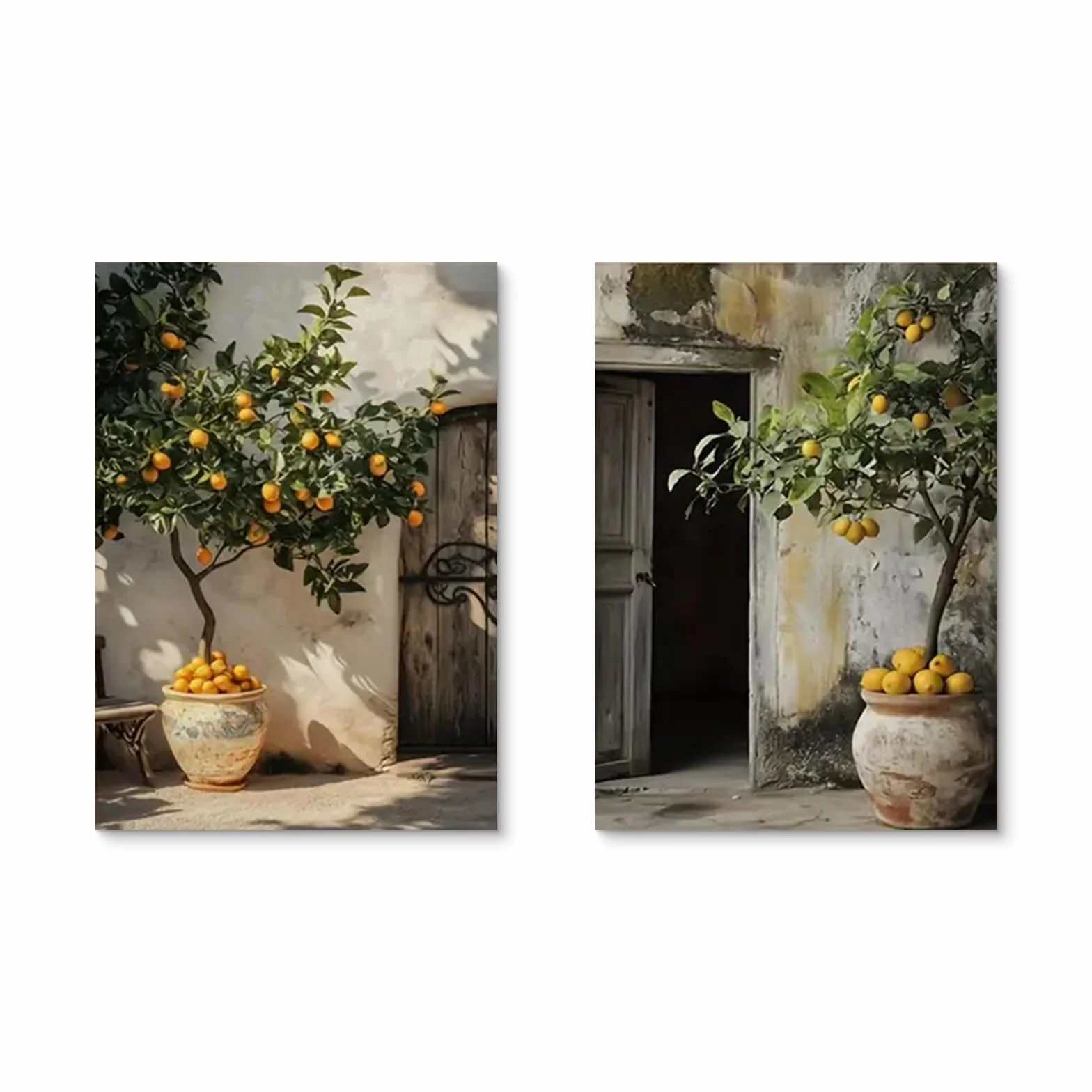 TROYSINC Lot de 2 posters motif plantes méditerranéennes citronnier olivier 50x70 cm sans cadre