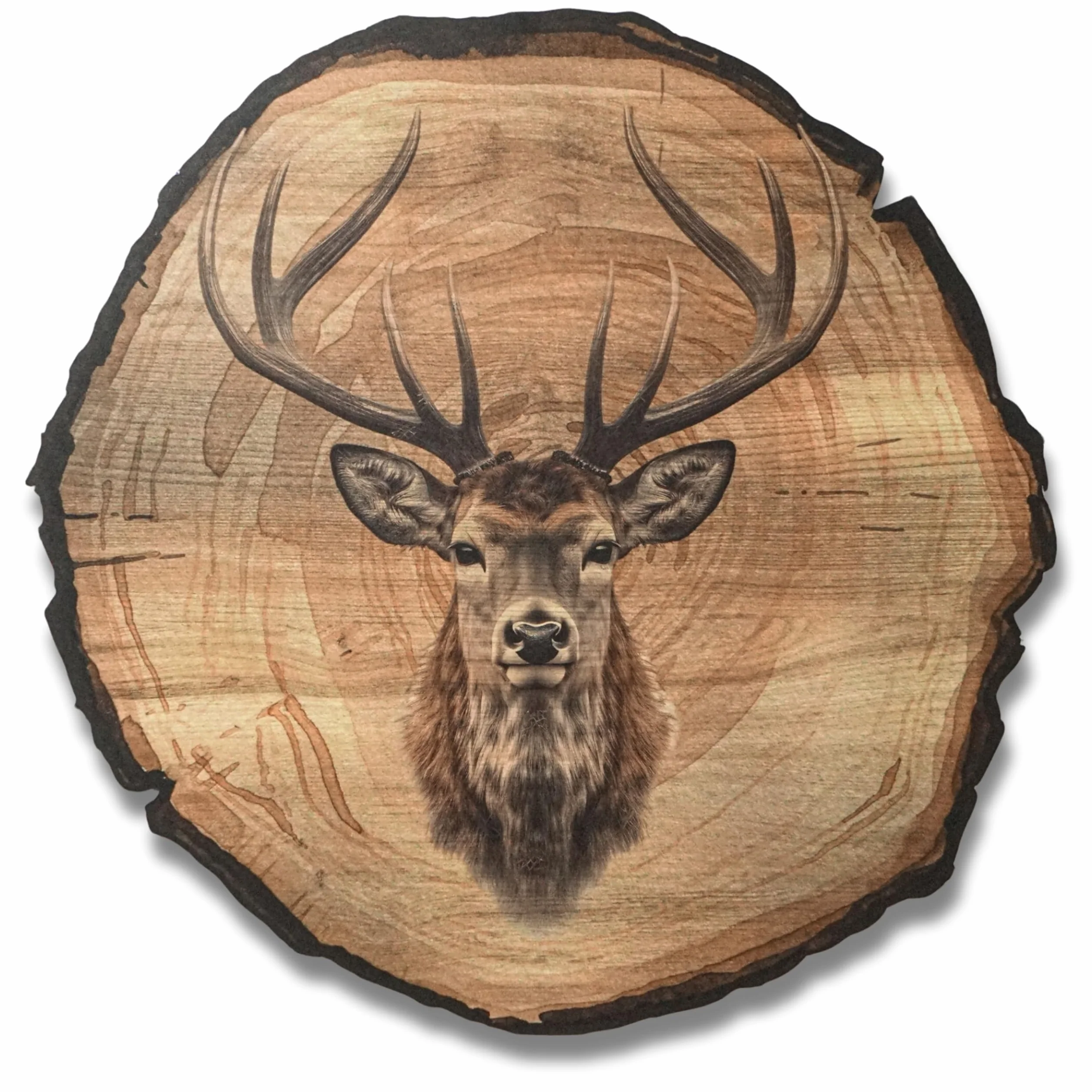 Tableau mural cerf 45 cm DARO Design – Impression d'art prête à accrocher décoration chasse nature animaux