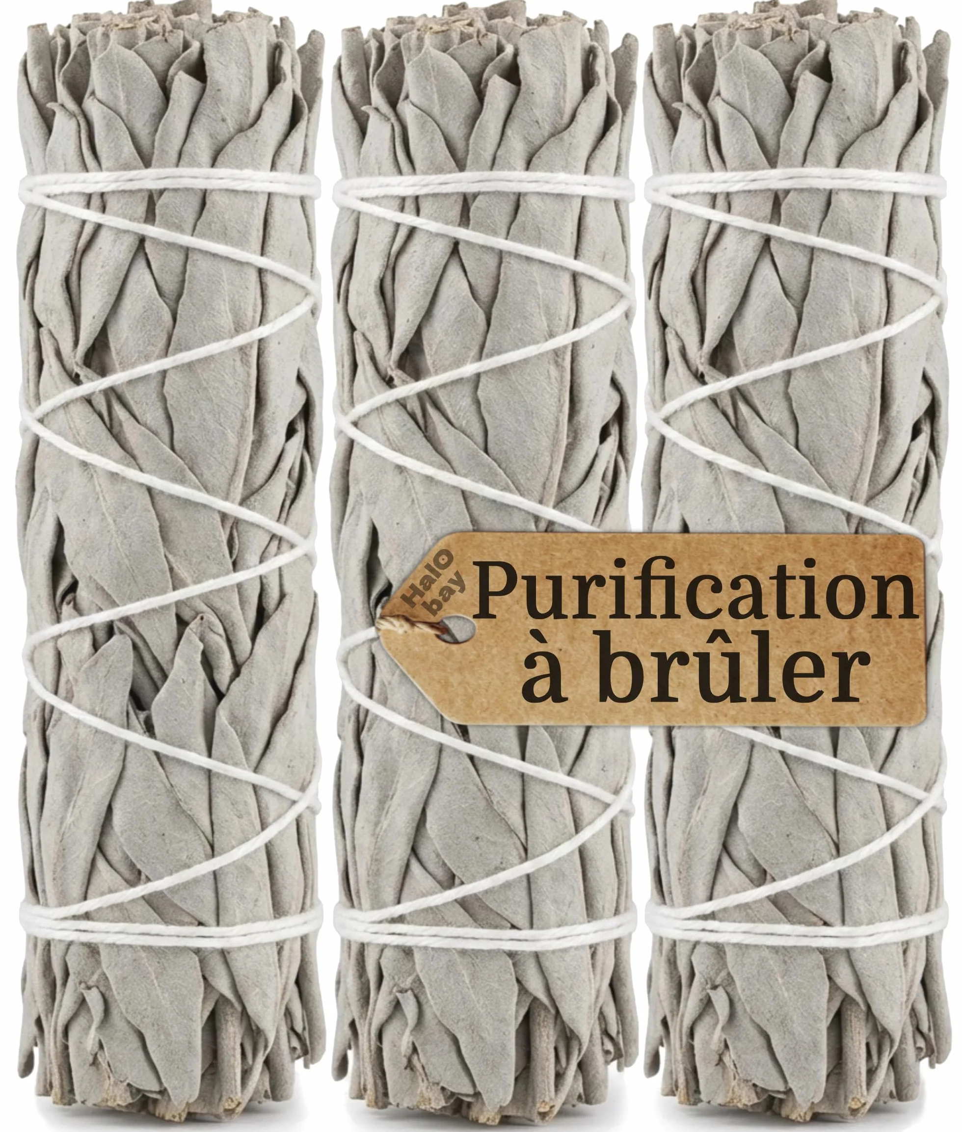 Sauge Blanche Bâton Encens Purification Naturel 10cm Rituel Méditation Yoga Salvia Apiana