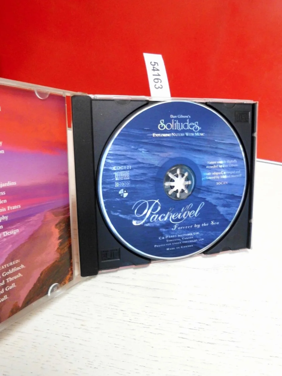 Pachelbel Forever