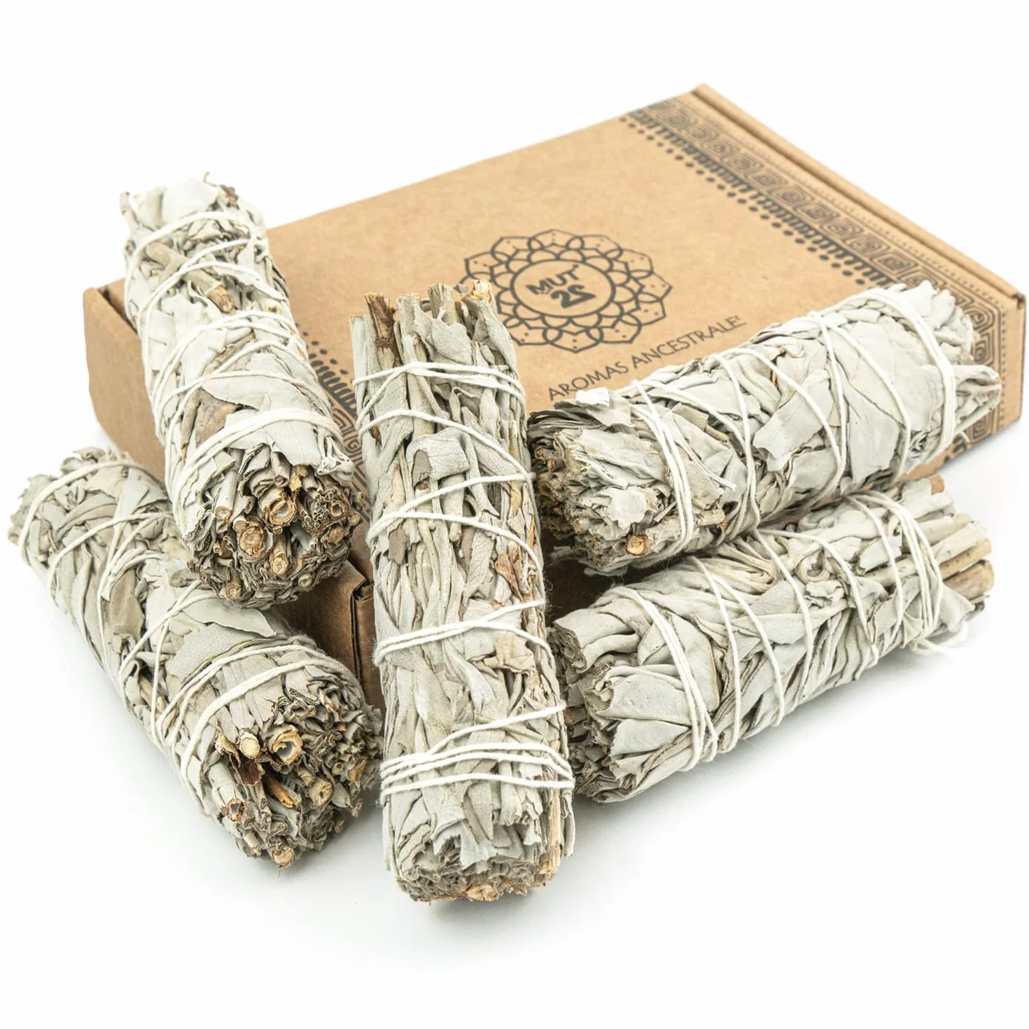Sauge Blanche 10 cm Purification à Bruler Premium – 100% Naturelle pour Rituels Énergétiques et Harmonisation