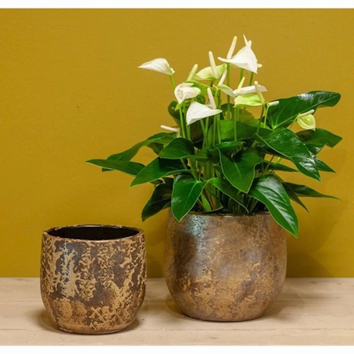 innaGLAS Pot à Plantes Vintage Mago en céramique, Aspect Balayage, doré, 17 cm, Ø 19 cm - Pot de Fleurs