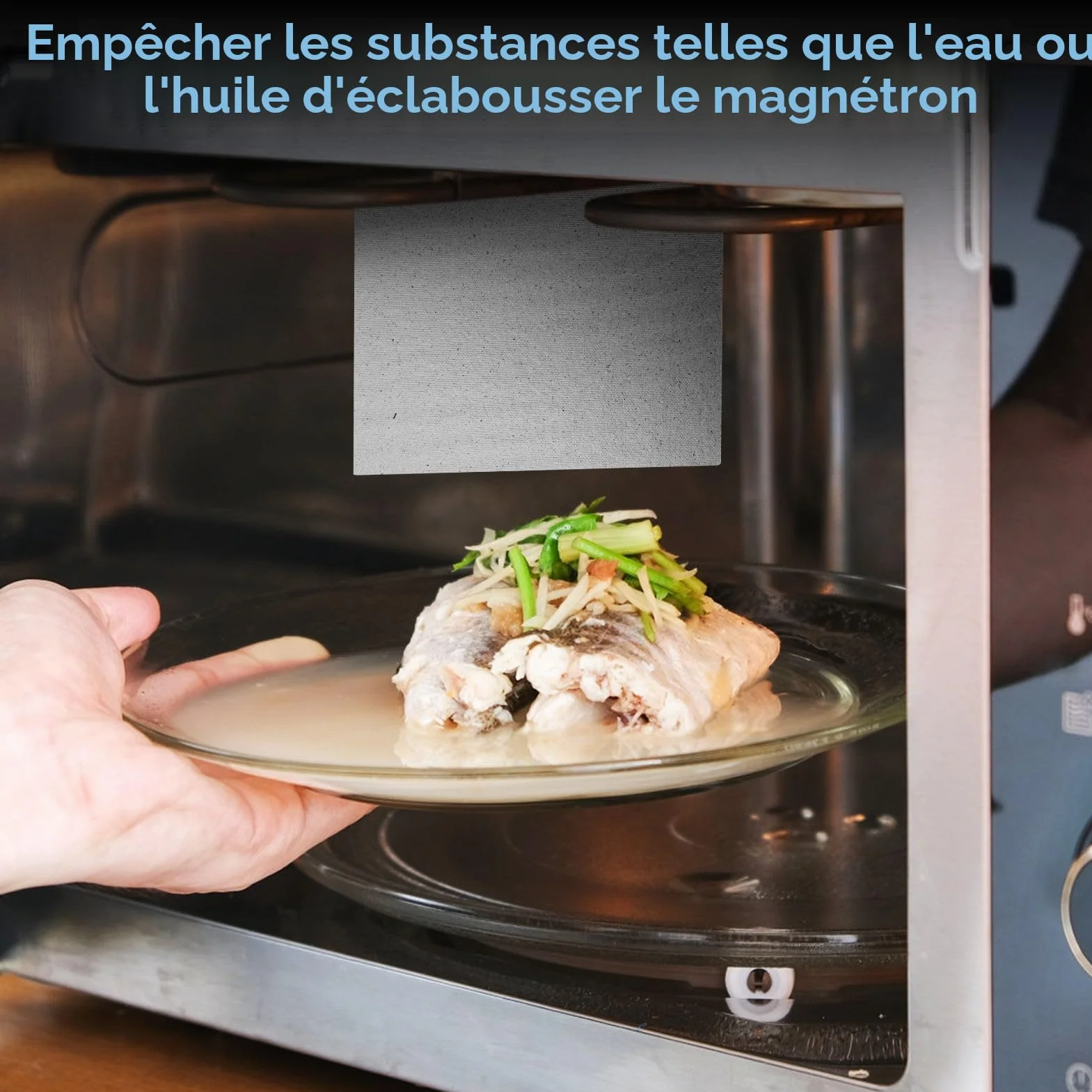 Plaque Mica pour Micro-Ondes 15x12cm Universelle Isolation Thermique Remplacement