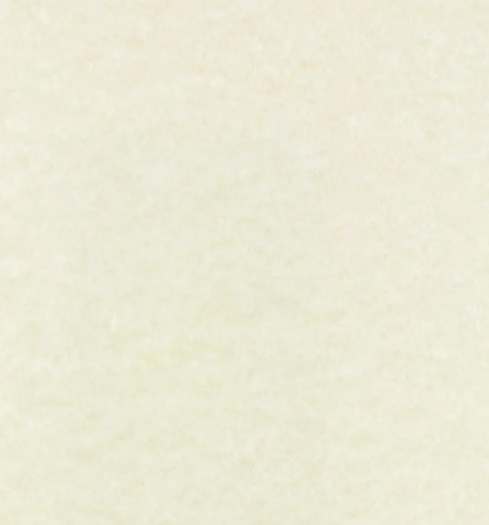 Parchemin Naturel A4 170 G/M² Lot de 50 Feuilles