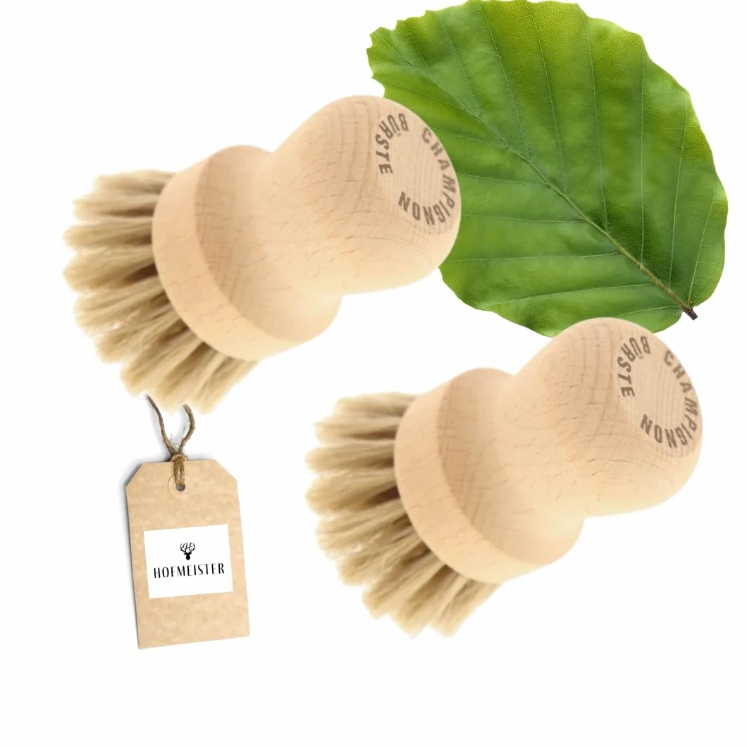 HOFMEISTER lot de 2 brosses à champignons en crin de cheval et bois de hêtre