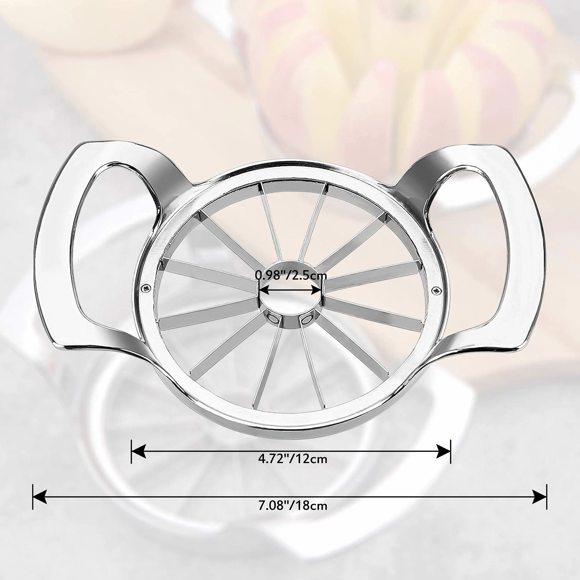 Coupe Pomme 12 Lames, Coupe-Fruits 10 cm Acier Inoxydable pour Pommes et Poires