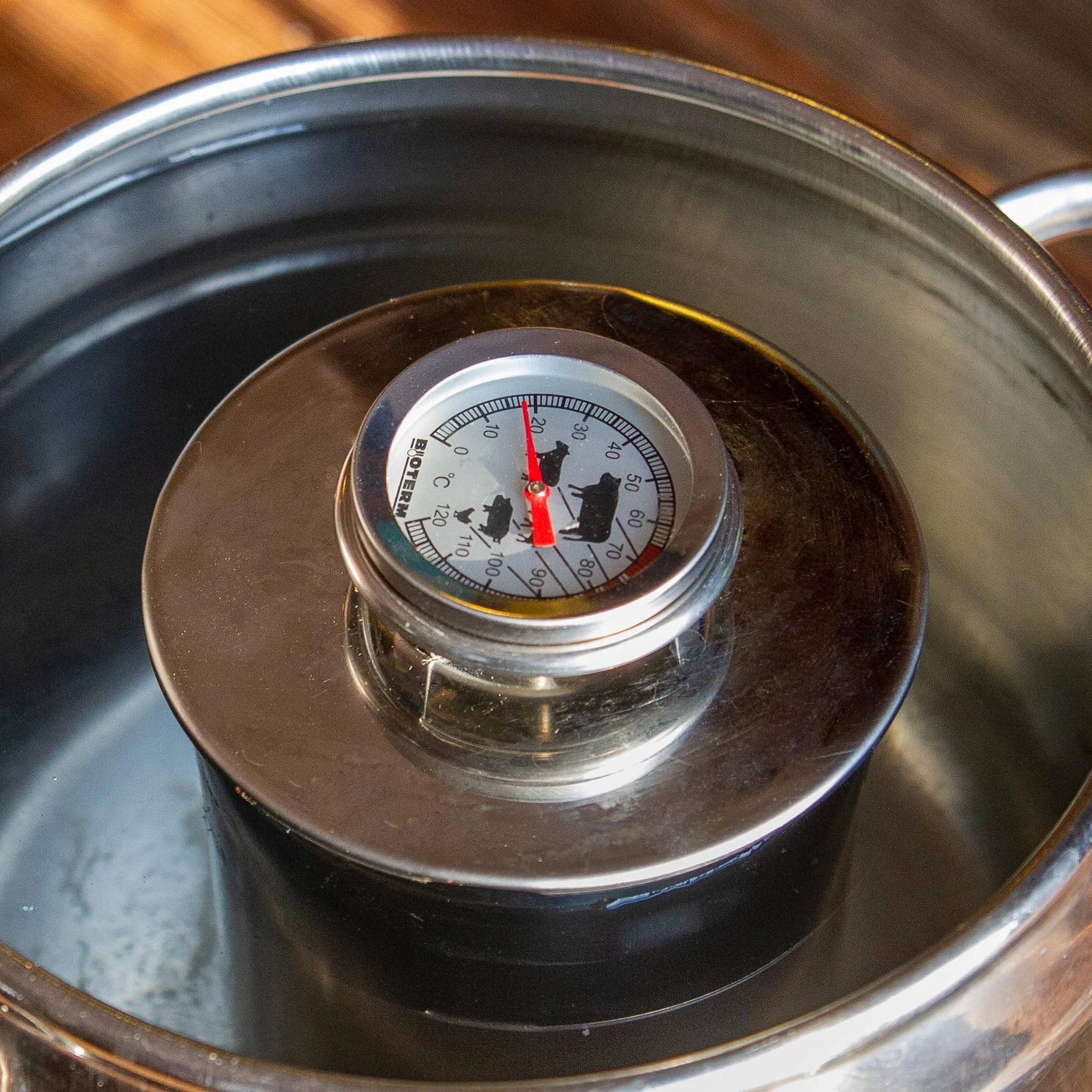 Browin Thermomètre de Cuisson en Acier Inoxydable 0-120°C