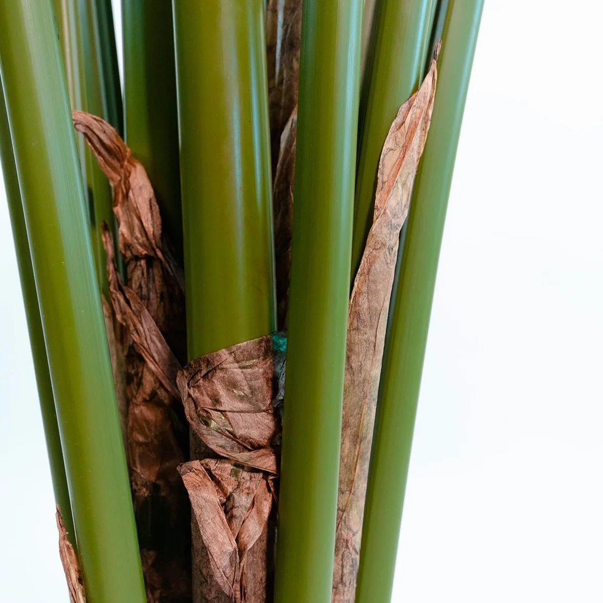 BLAINE Strelitzia 160cm Grande Plante Artificielle Réaliste pour Intérieur Extérieur
