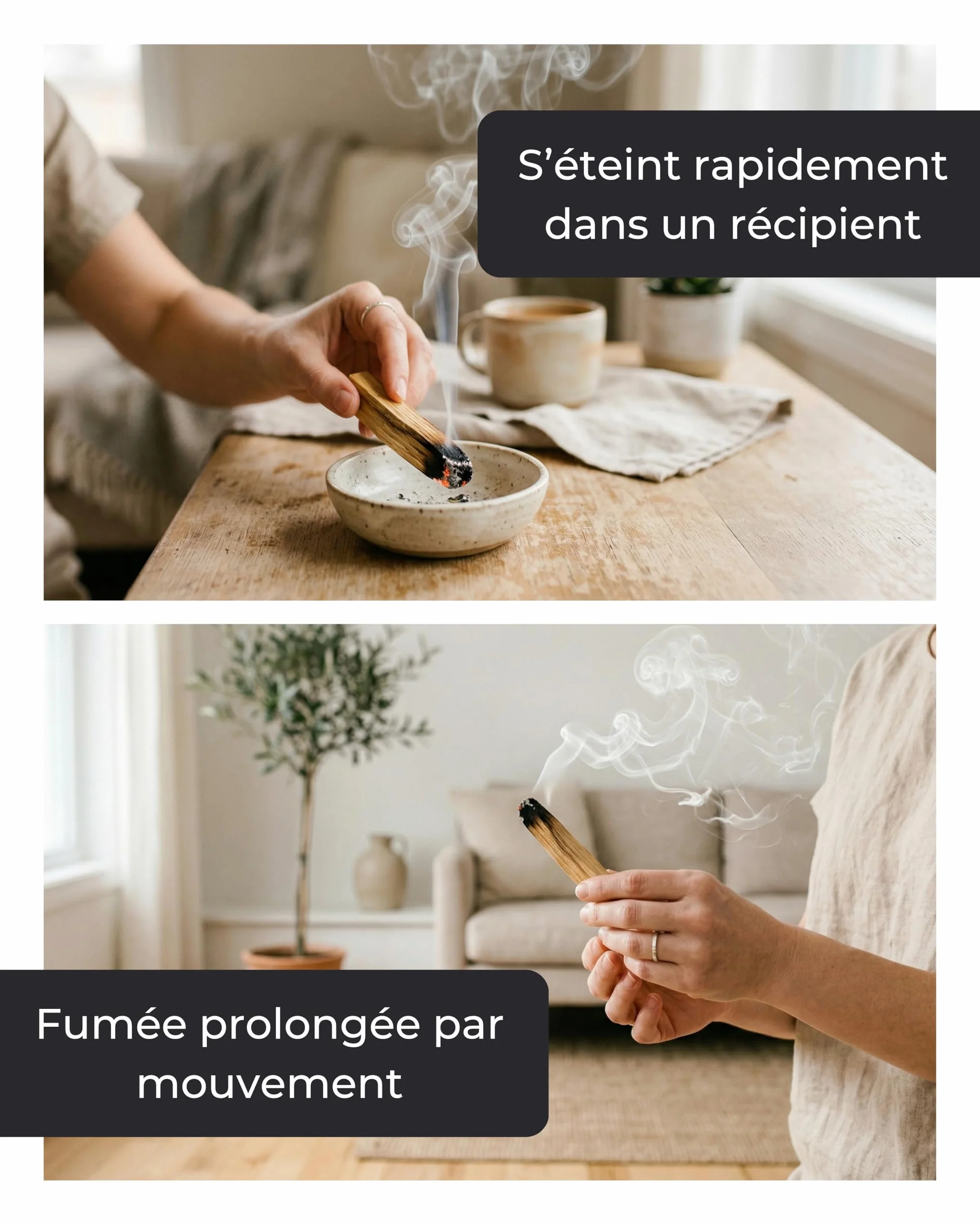 Incensera Bois de Palo Santo 8 Bâtons d'Encens Naturel 10 cm Purification Maison Méditation Aromathérapie