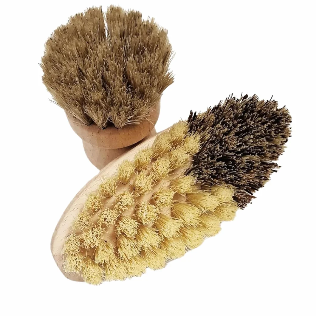 Brosses à légumes et champignons lot de 2 - 100 % naturel