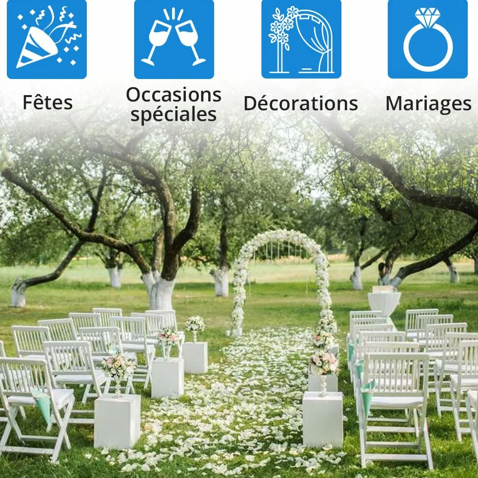 Jonami 1200 Pétales de Rose Artificielle Blanc en Soie Décoration Saint Valentin Mariage