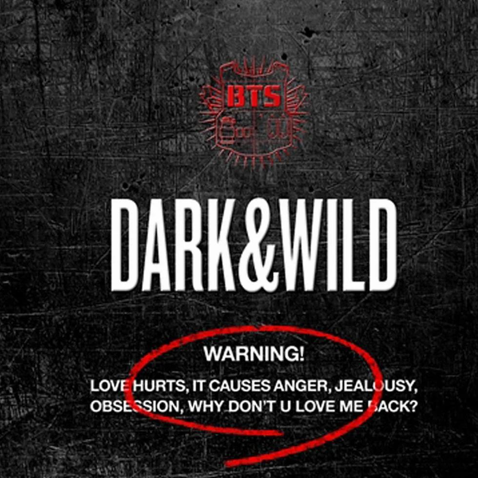 BTS Dark and Wild the 1st Album Photobook Photocards Set