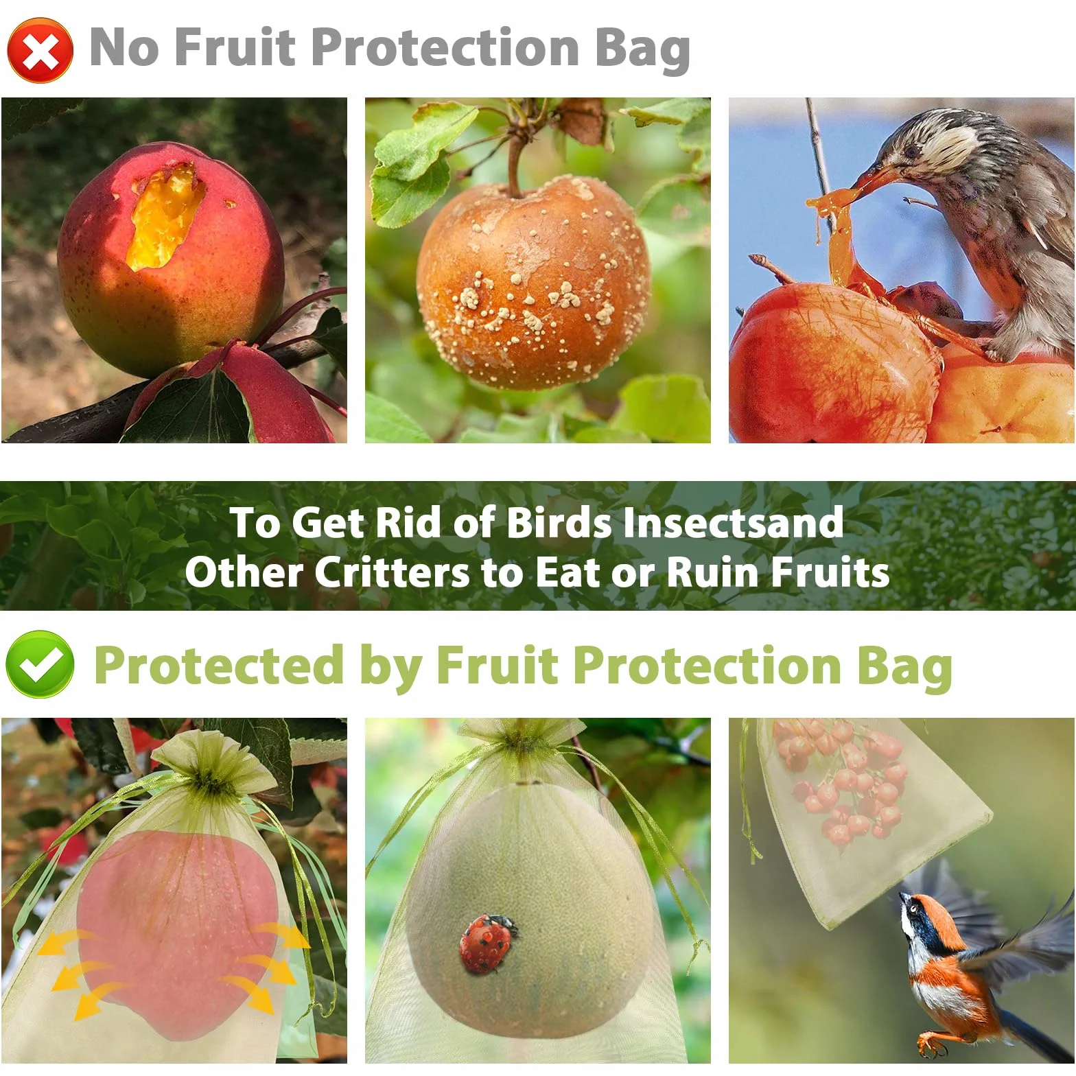 Sacs de protection pour fruits 23 x 17 cm filet raisin cordon serrage maille fine respirante