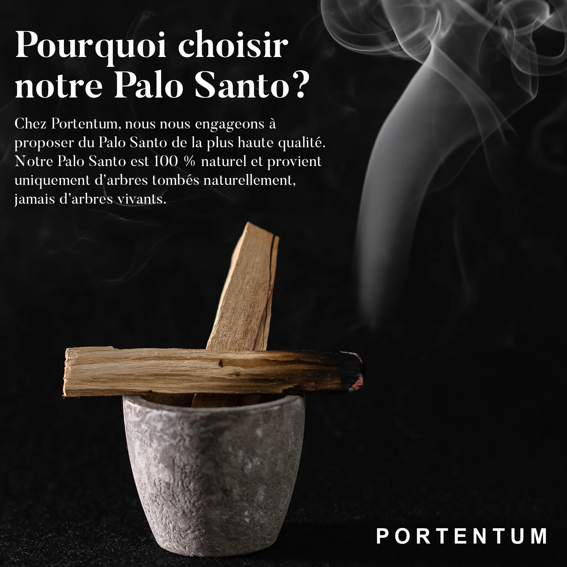 Bois de Palo Santo XL 100gr (9-13 pc) Naturel d'Amérique du Sud Purification Relaxation