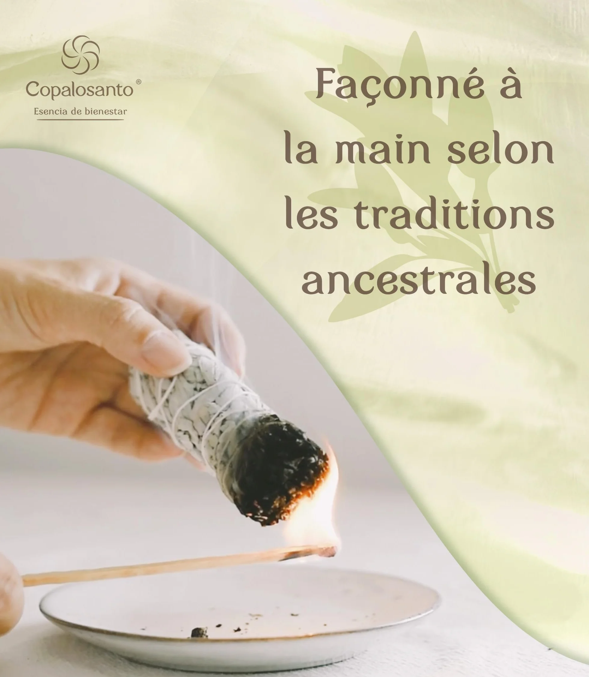 Sauge Blanche Bâton Encens Naturel Purification Protection Nettoyage Spirituel Maison Rituel Méditation Lot 4