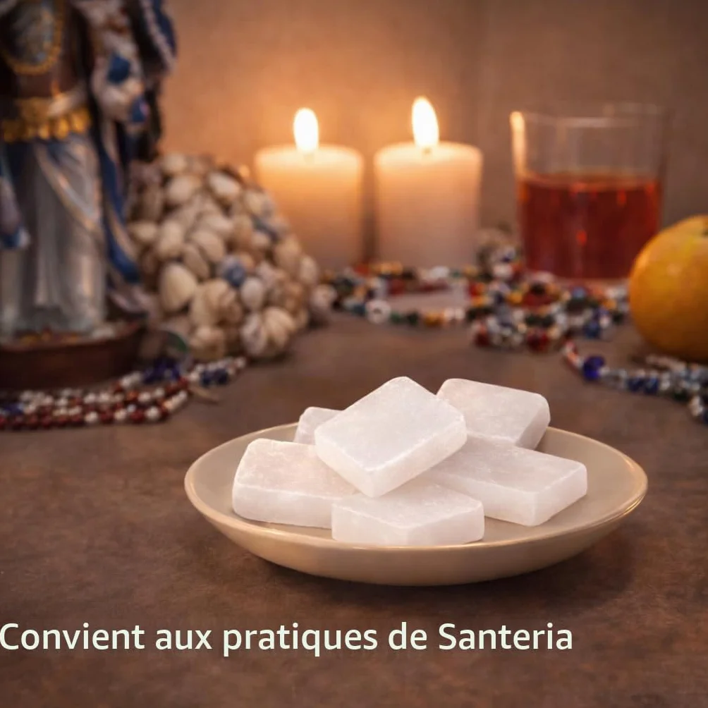 Camphre naturel blocs et cubes 300g pour Pooja Santeria religieux indiens