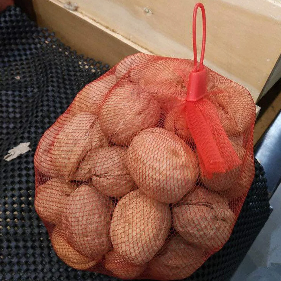 Sac en filet Réutilisable 200 Pièces Maille D'emballage Fruits Légumes Noix Épicerie Protection Plantation Rouge