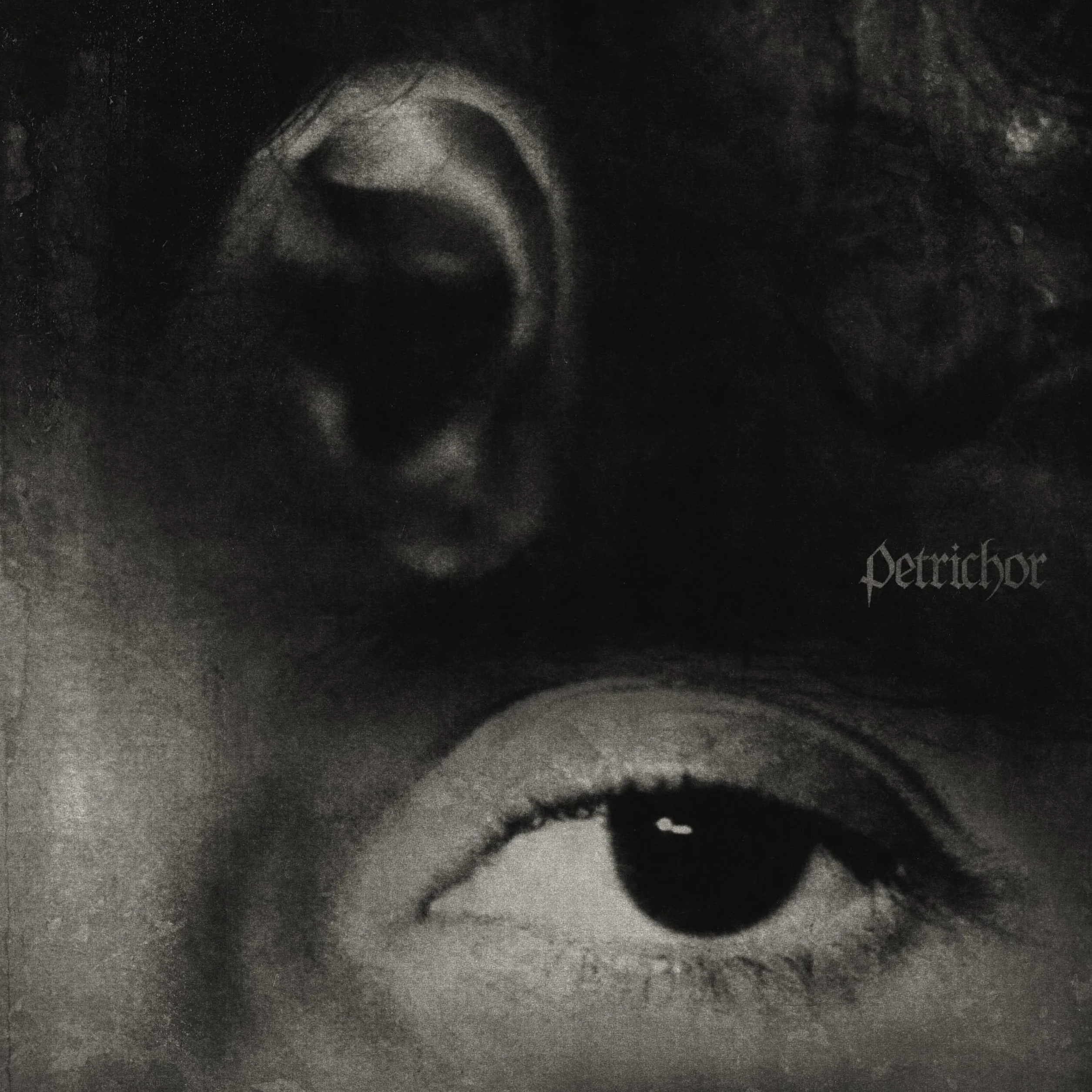 Petrichor