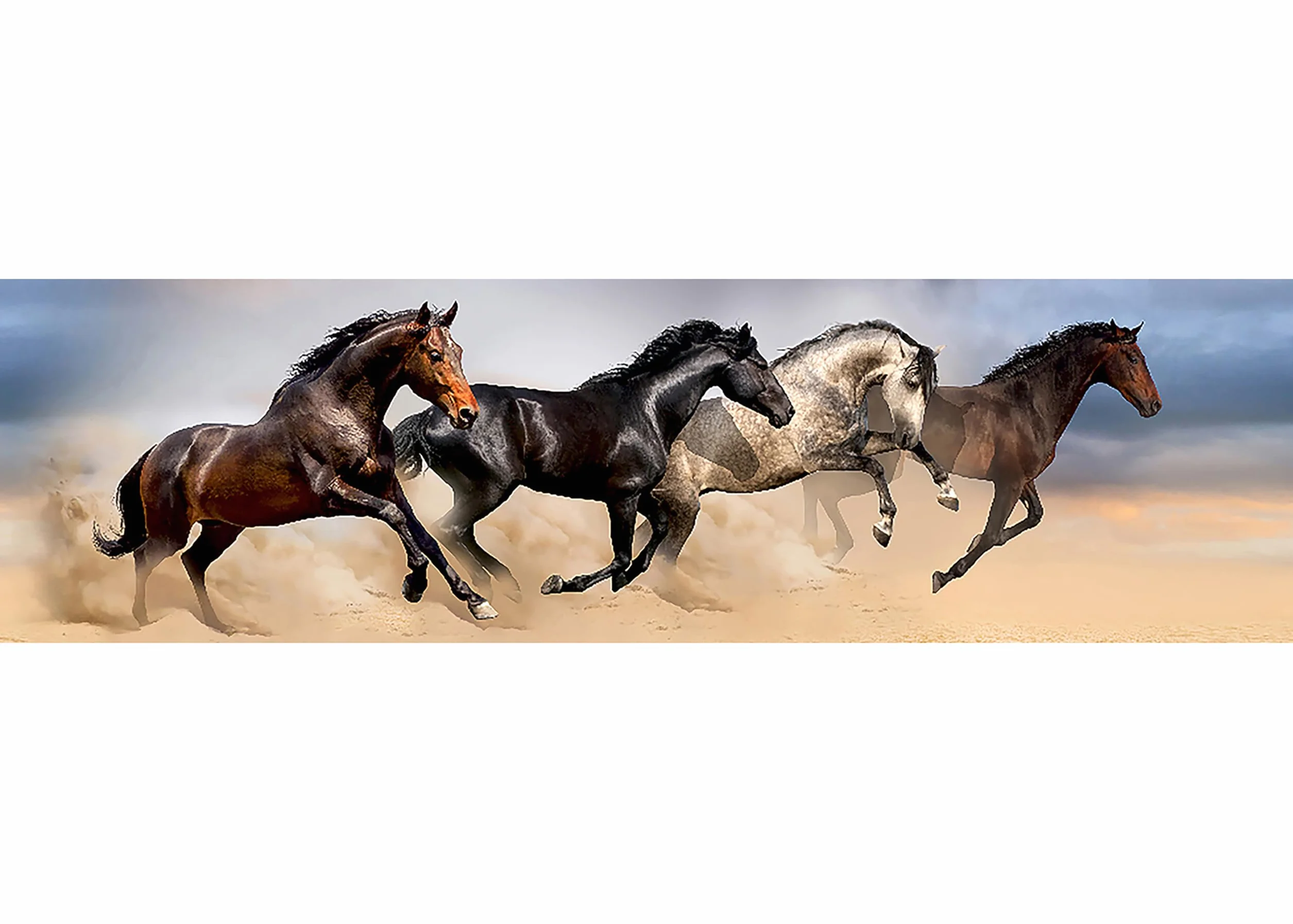 Sticker Mural Frise Autocollante Chevaux AG Design 0,14 x 5 m