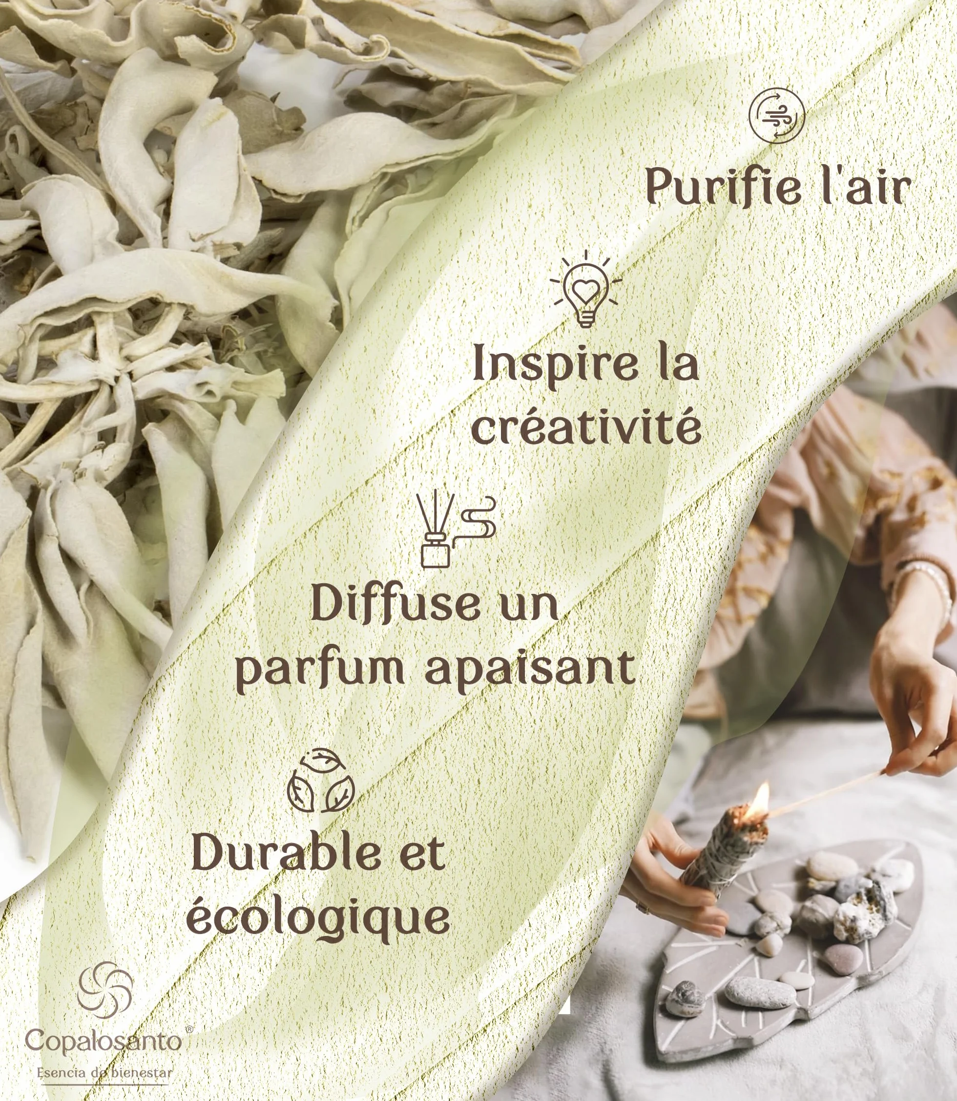 Sauge Blanche Bâton Encens Naturel Purification Protection Nettoyage Spirituel Maison Rituel Méditation Lot 4