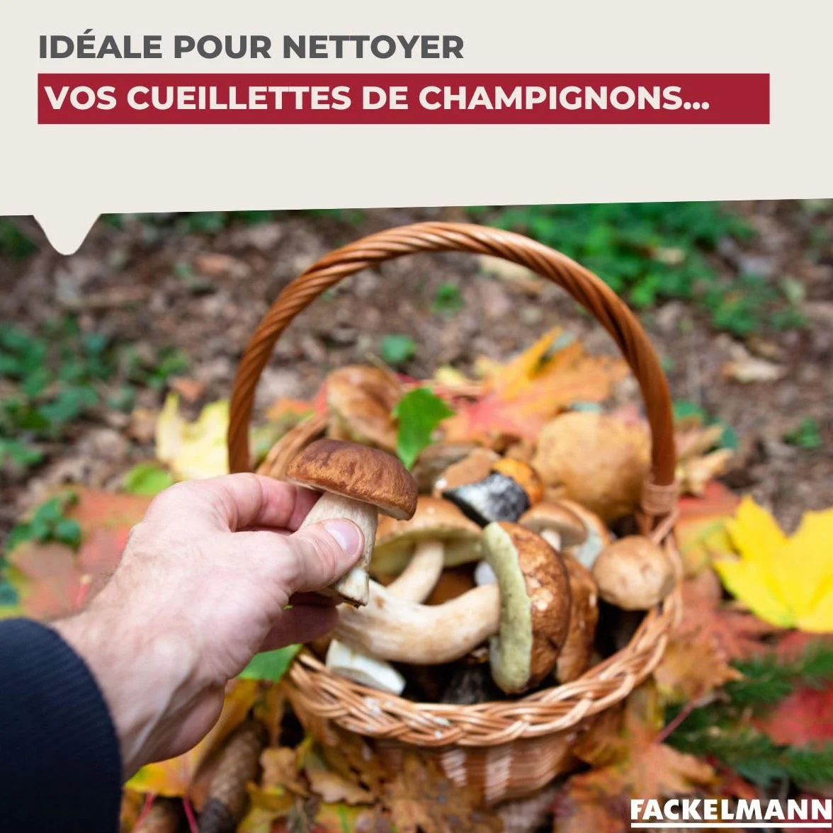 Fackelmann Brosse pour légumes en Bois 13,5 x 3,6 x 3,3 cm