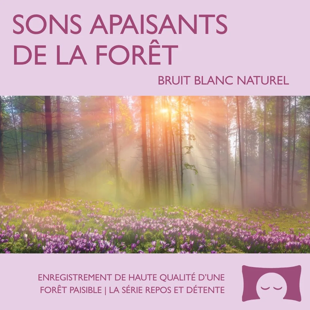 Sons apaisants de la forêt – Bruit blanc naturel pour soulager le stress et méditer
