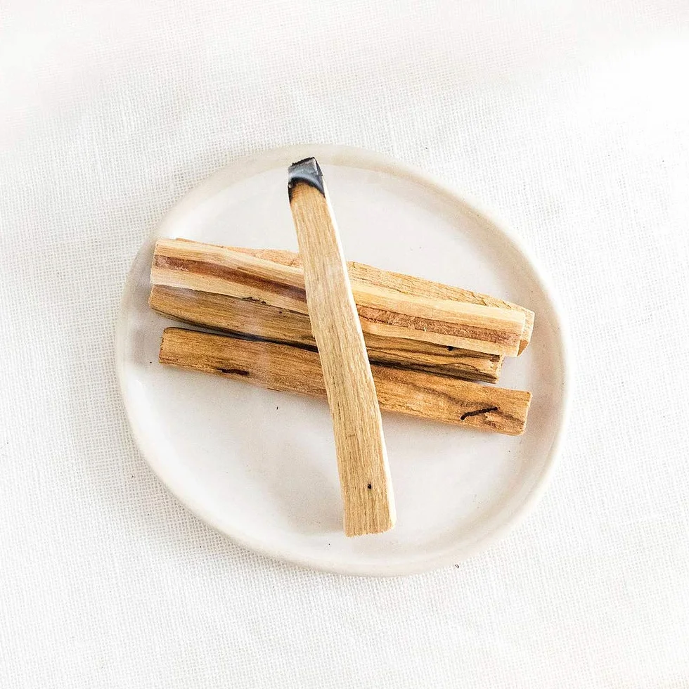 Palo Santo bâtonnets encens Fumigation Purification 100% Naturel Pérou 10x1cm 5 bâtonnets